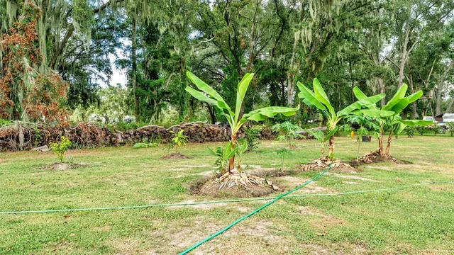 $899,000 | 1193 Parker Road, Lakeland, FL 33811