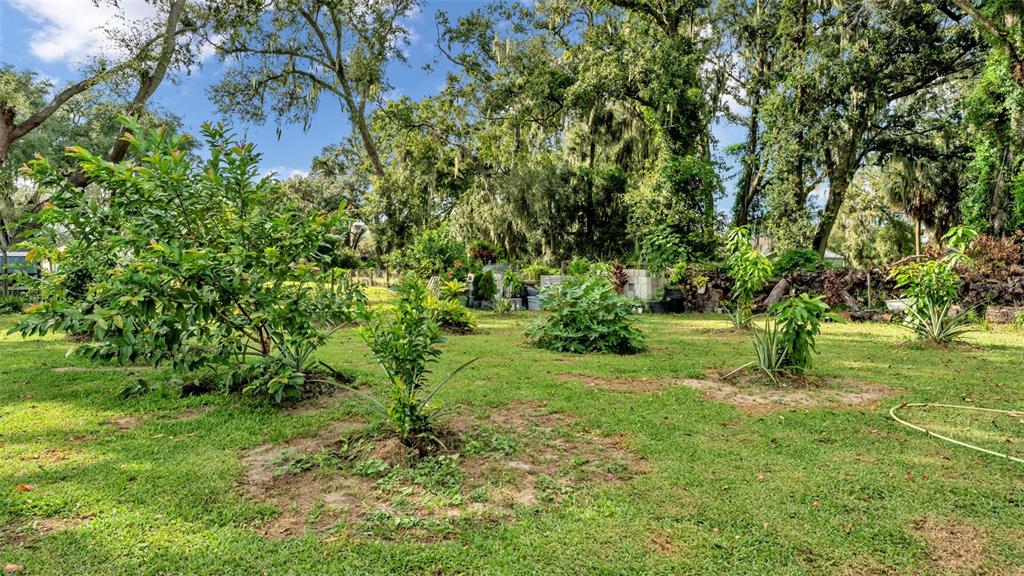 1193 Parker Road Lakeland, FL 33811 - Photo 78 of 78