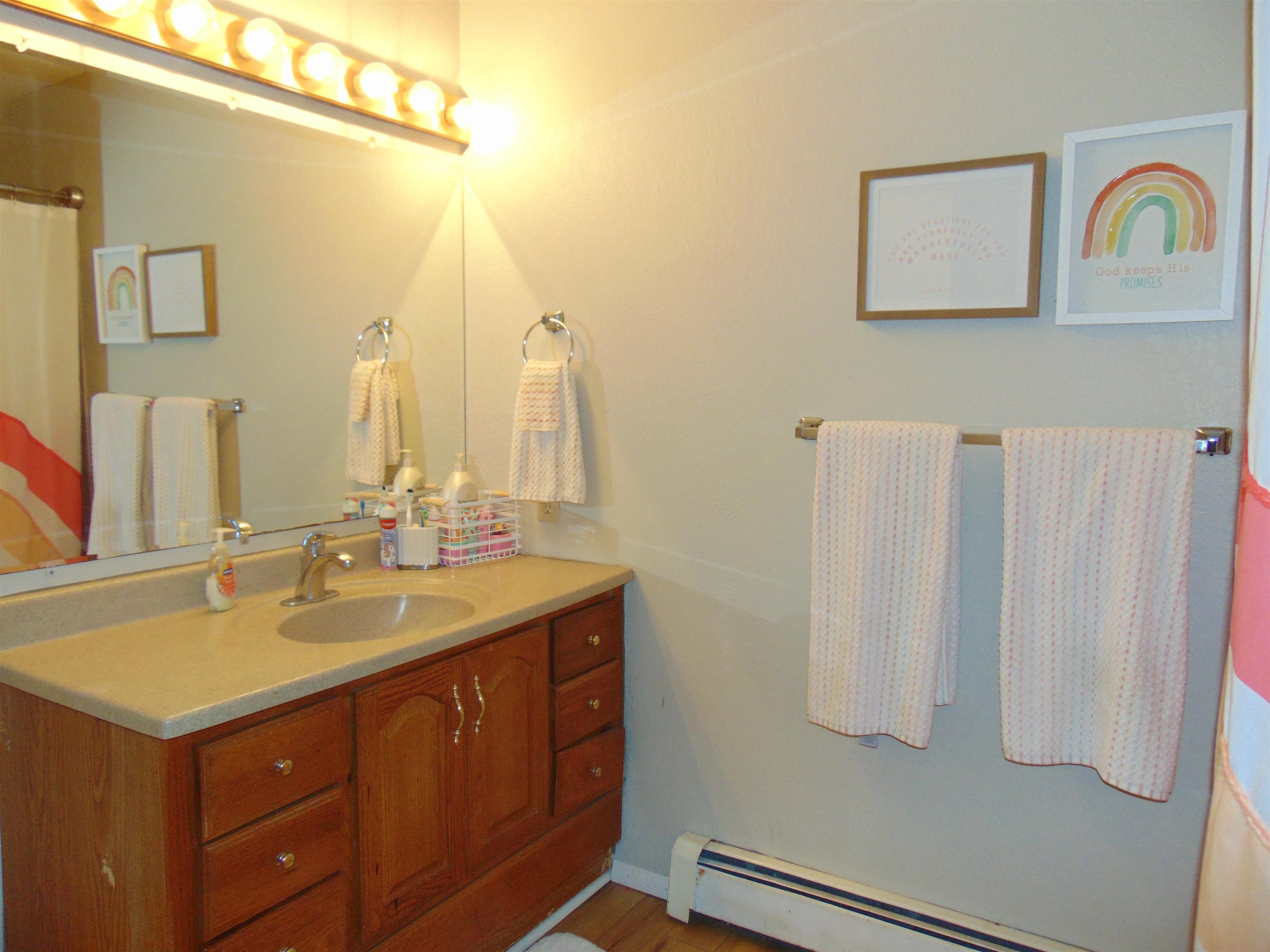 321 North Ash Street Fruita, CO 81521 - Photo 11 of 24 a bathroom with a sink and a mirror