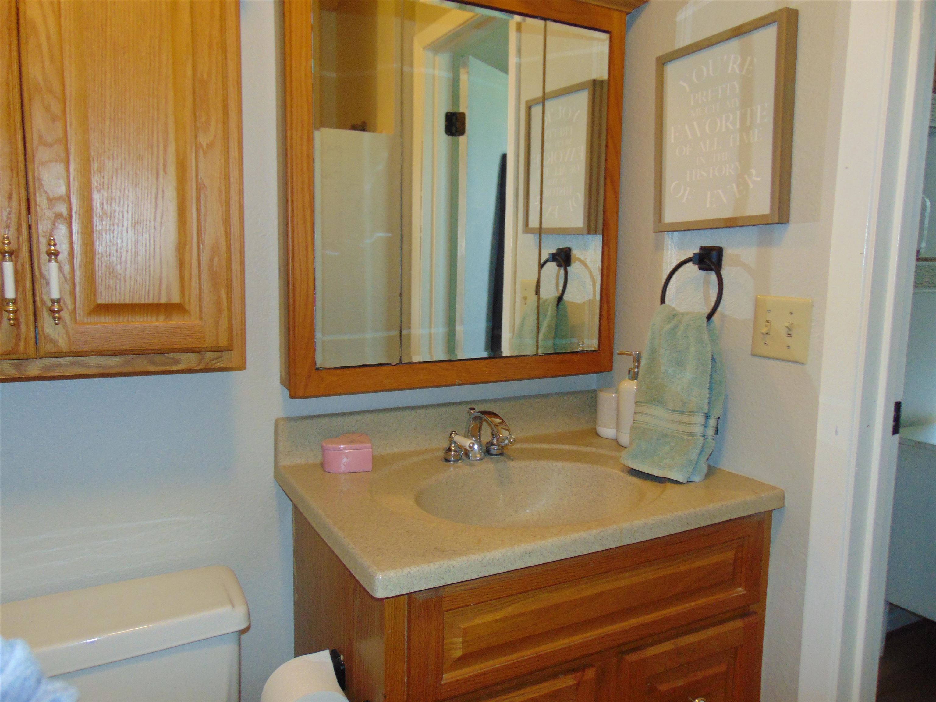 321 North Ash Street Fruita, CO 81521 - Photo 13 of 24 a bathroom with a sink and a mirror