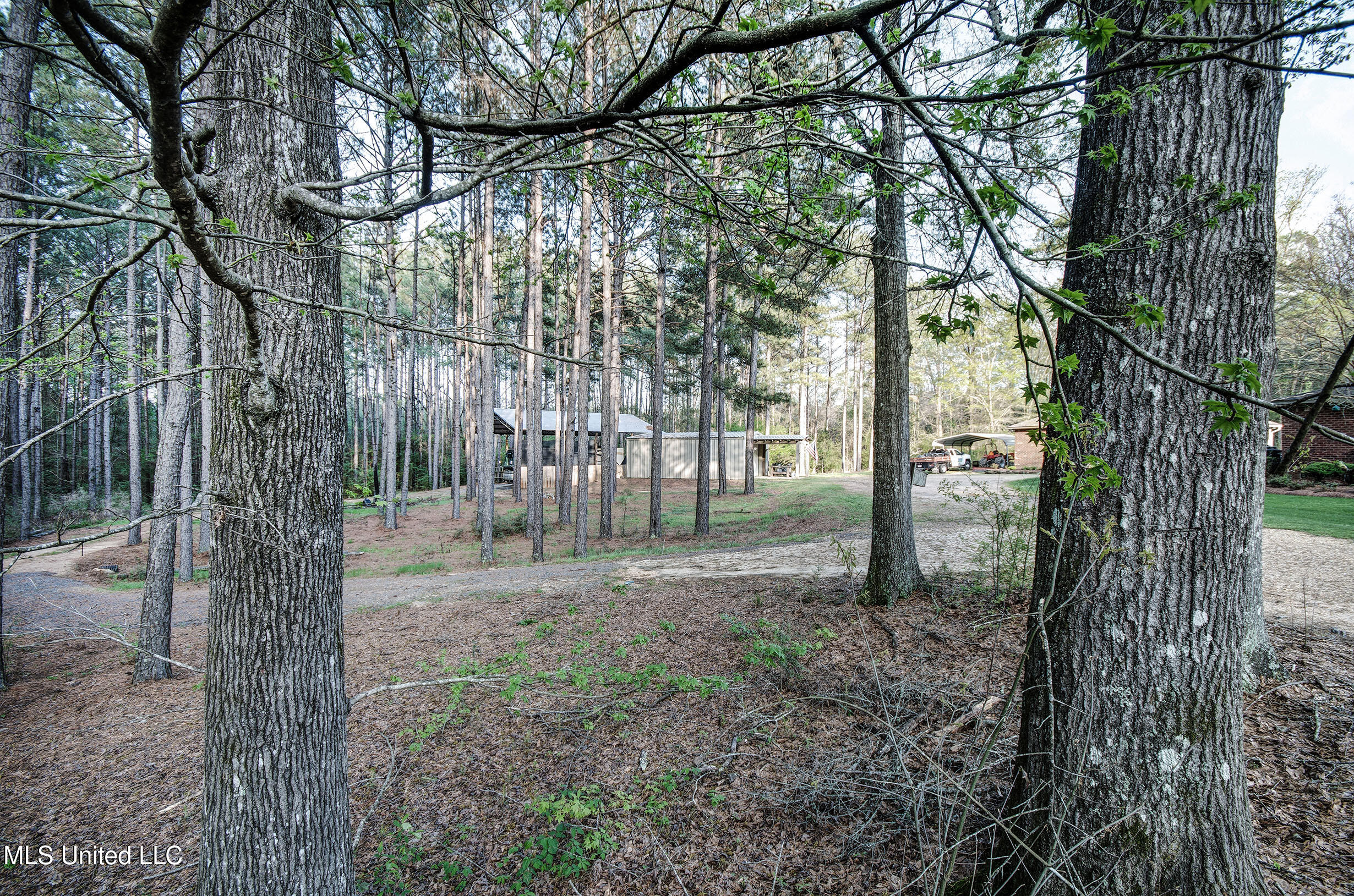 329 County Line Road Mendenhall, MS 39114 - Photo 3 of 77 IMGP3677_8_9