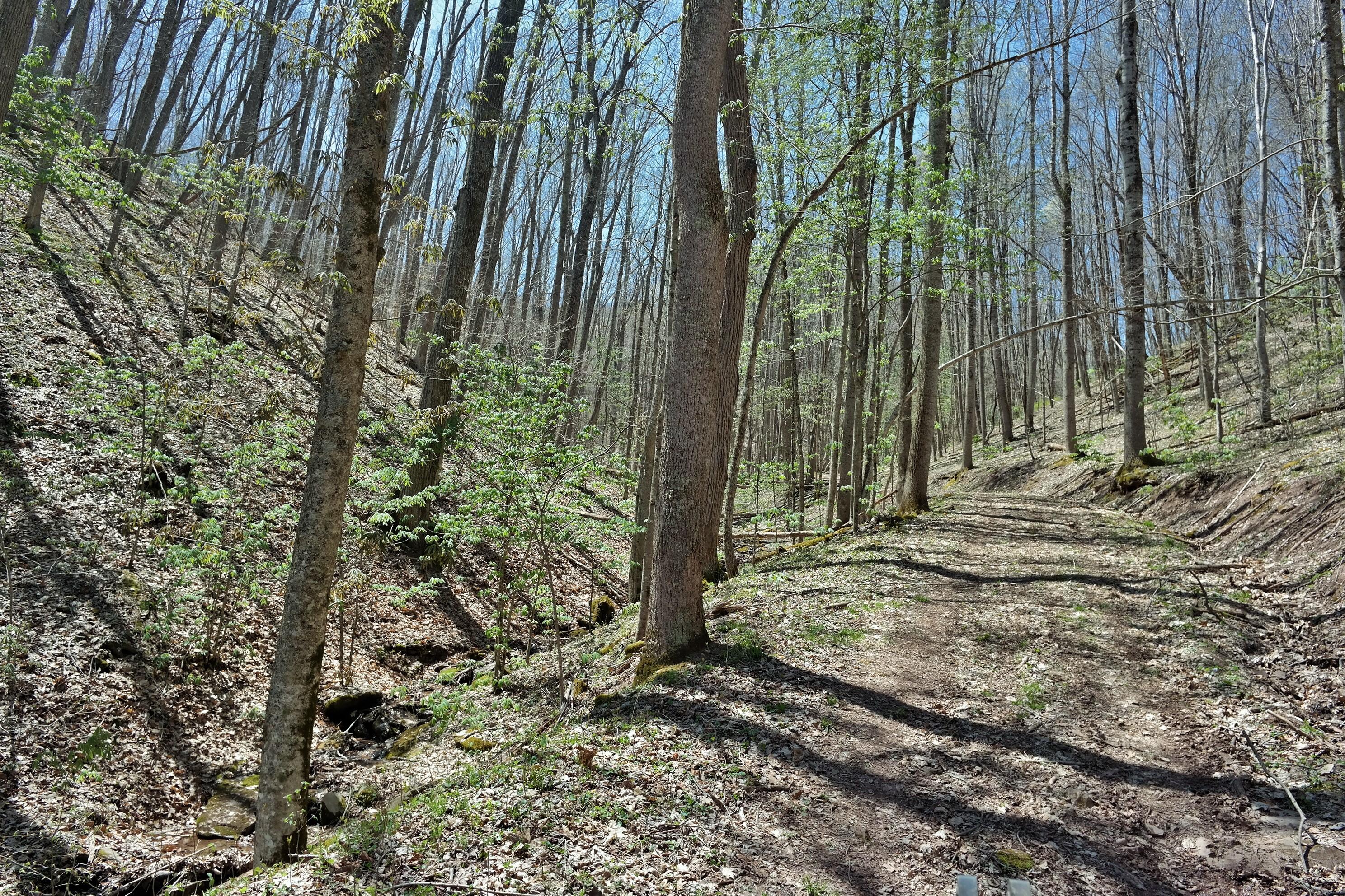 3678 Snake Run Road Alderson, WV 24910 - Photo 84 of 124 Gallery Image 84