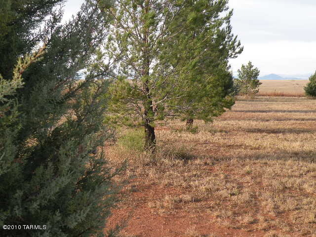 45 Prairie Lane Elgin, AZ 85611 - Photo 19 of 23 Gallery Image 19