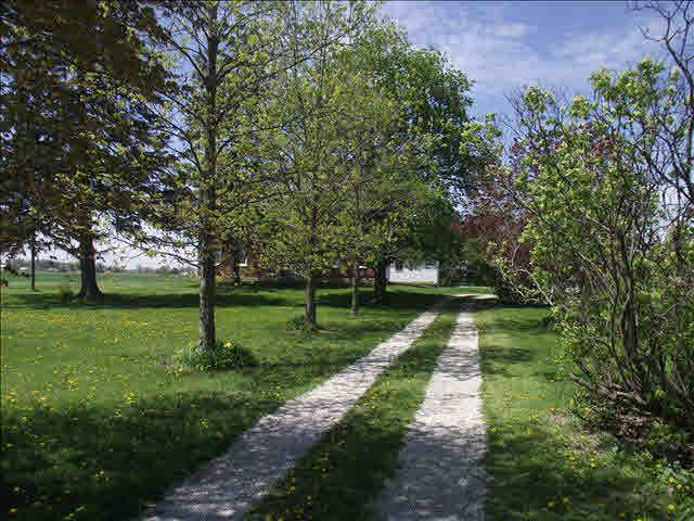 Driveway to front