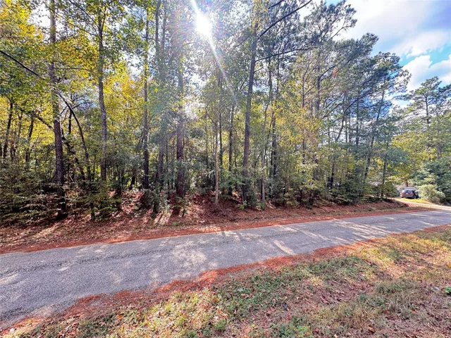 a view of a field with trees in the background