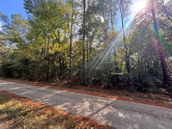 $20,000 | Tbd Love Drive, Cleveland, TX 77327