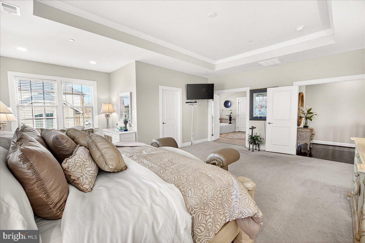 21217 Cracklin Road Laytonsville, MD 20882 - Photo 31 of 71 Tray ceiling