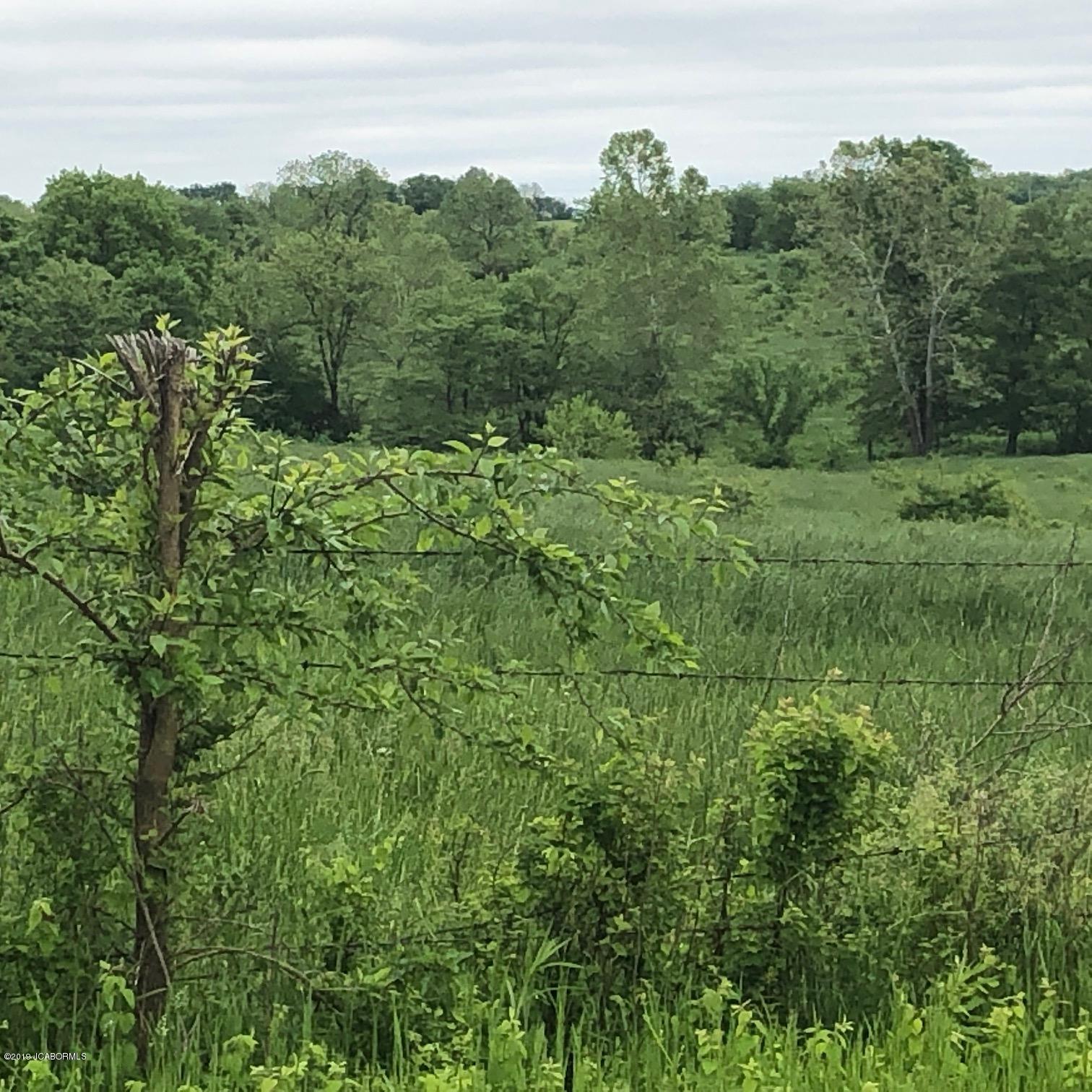 Tbd Union Ford Road California, MO 65018 - Photo 10 of 13