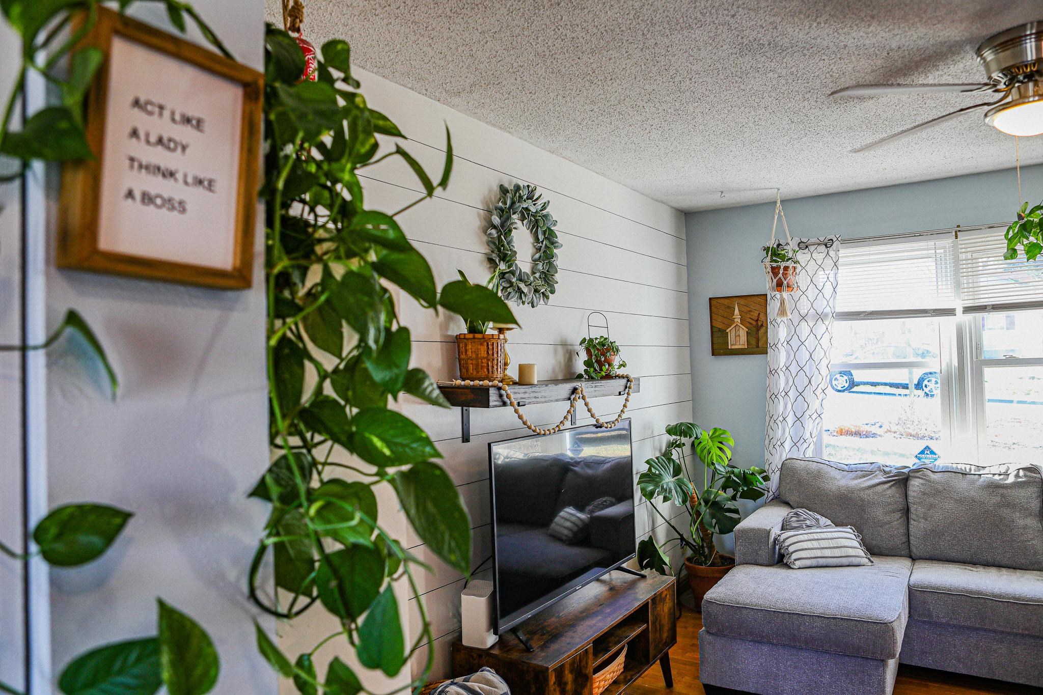 58 Hayrick Road Waynesboro, VA 22980 - Photo 17 of 38 a living room filled with furniture and a potted plant