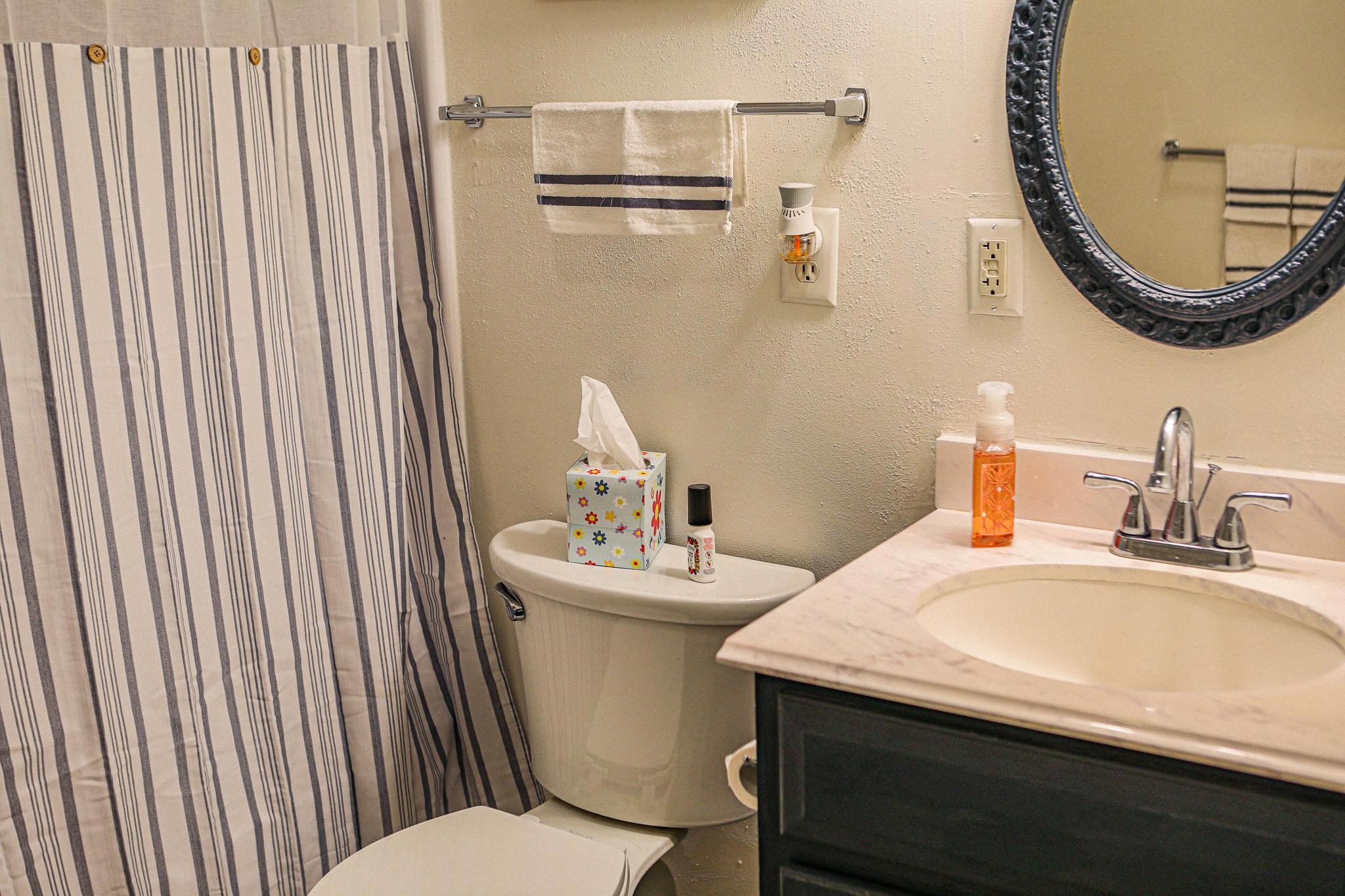 58 Hayrick Road Waynesboro, VA 22980 - Photo 25 of 38 a bathroom with a sink a toilet and a mirror