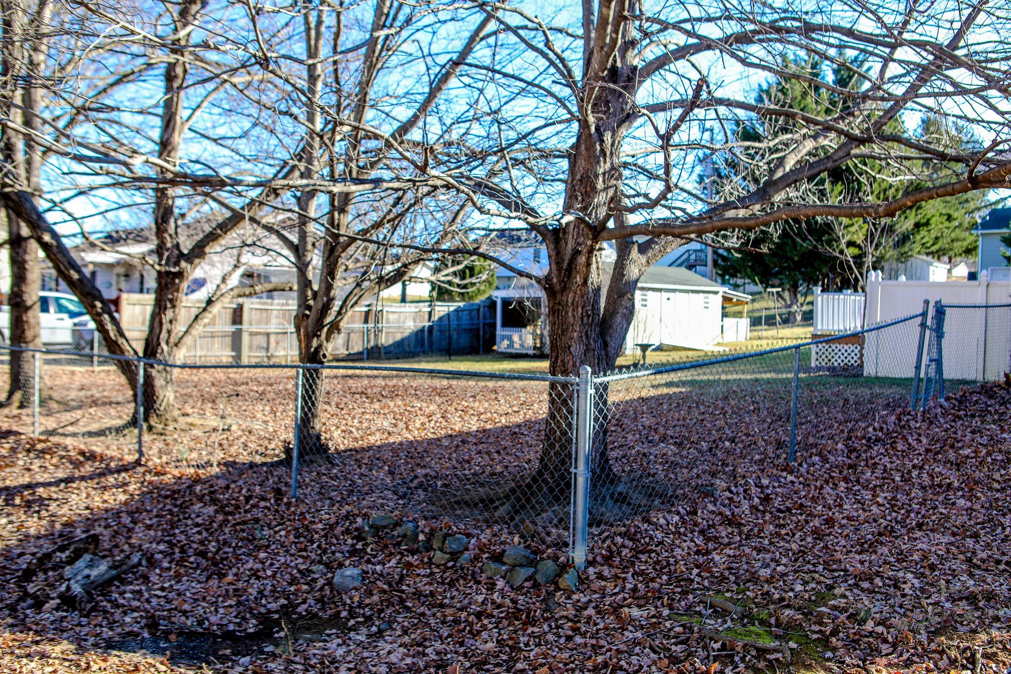 58 Hayrick Road Waynesboro, VA 22980 - Photo 37 of 38 a view of a yard with a tree