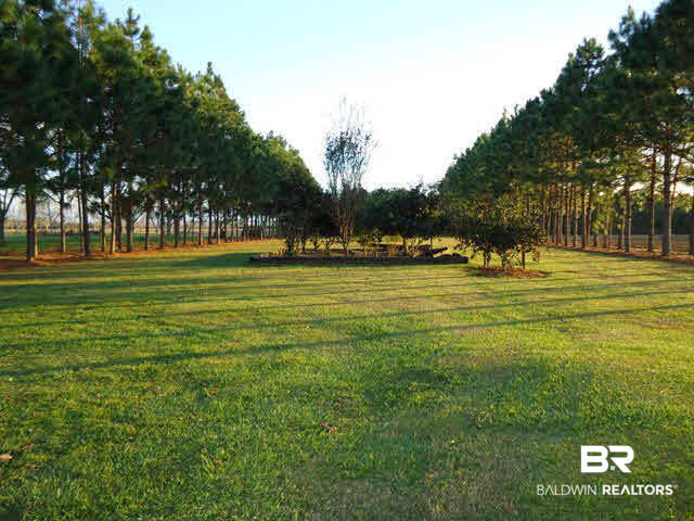 9470 County Road 24 Fairhope, AL 36532 - Photo 6 of 17 Back Yard