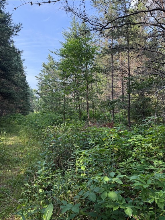 0 Tagalder Trail Hayward, WI 54843 - Photo 15 of 23