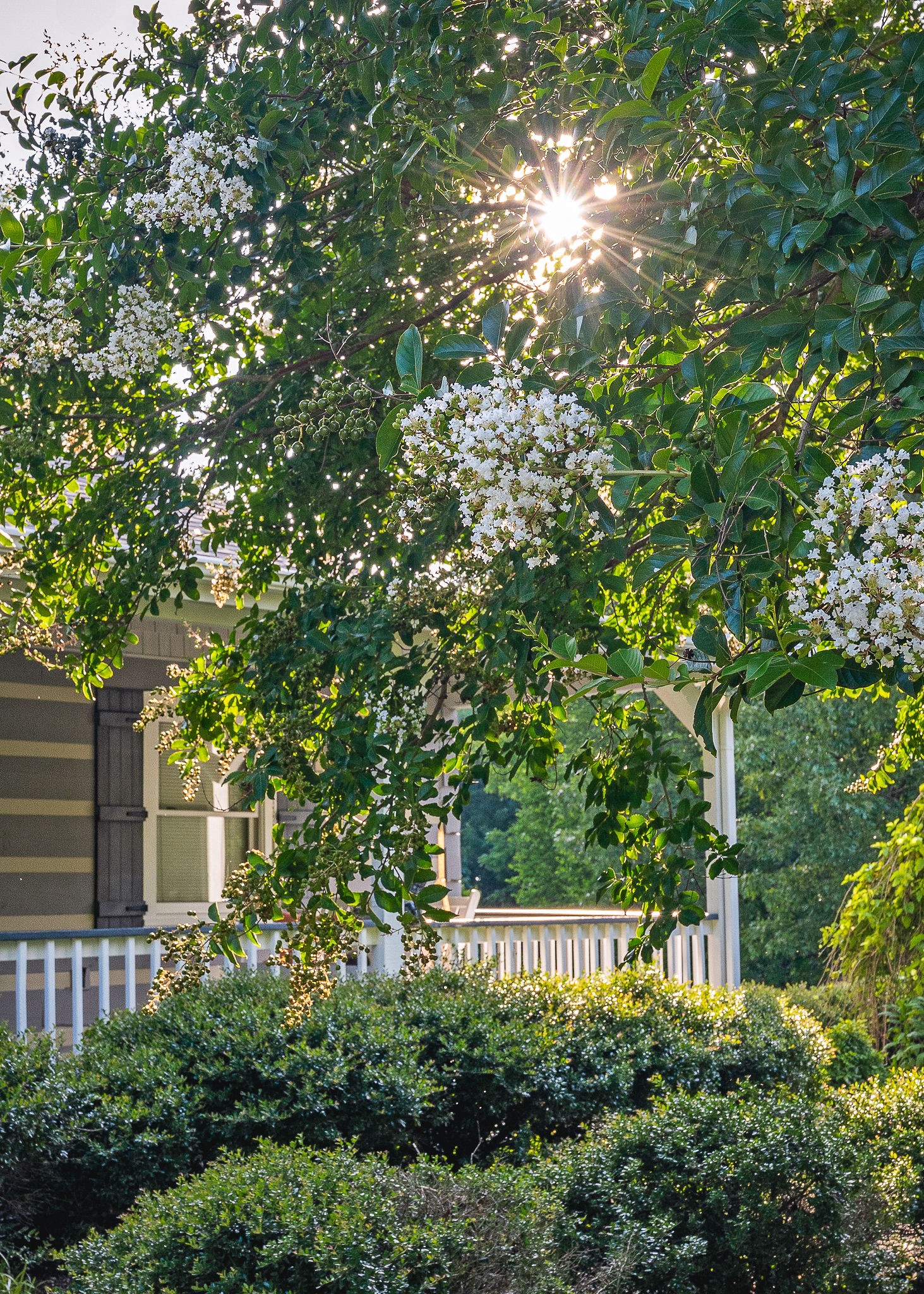 11720 Fox Hill Road Baxter, TN 38544 - Photo 84 of 89