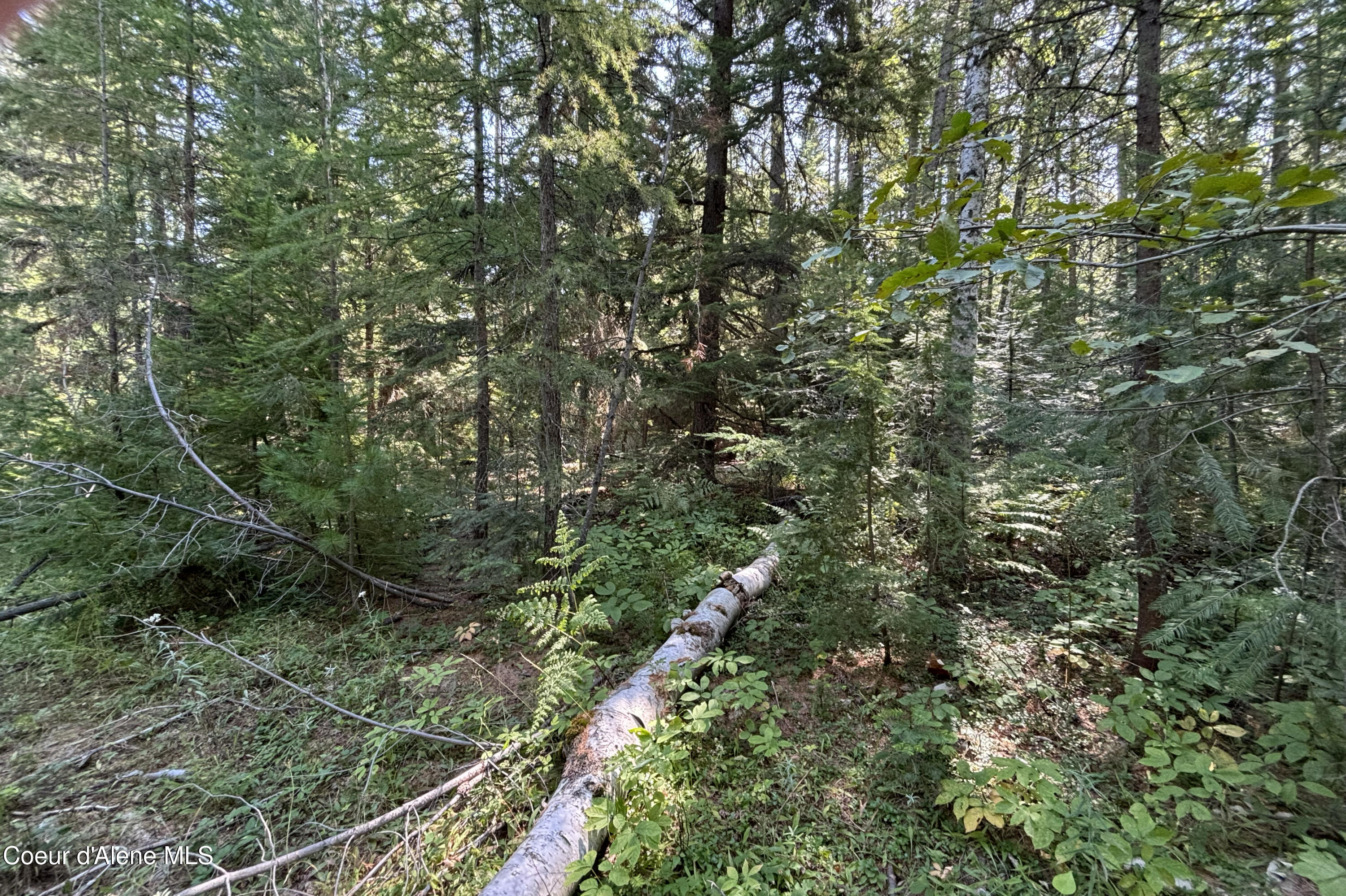 Lot 14 Ridge Way Sandpoint, ID 83864 - Photo 11 of 16 Ground