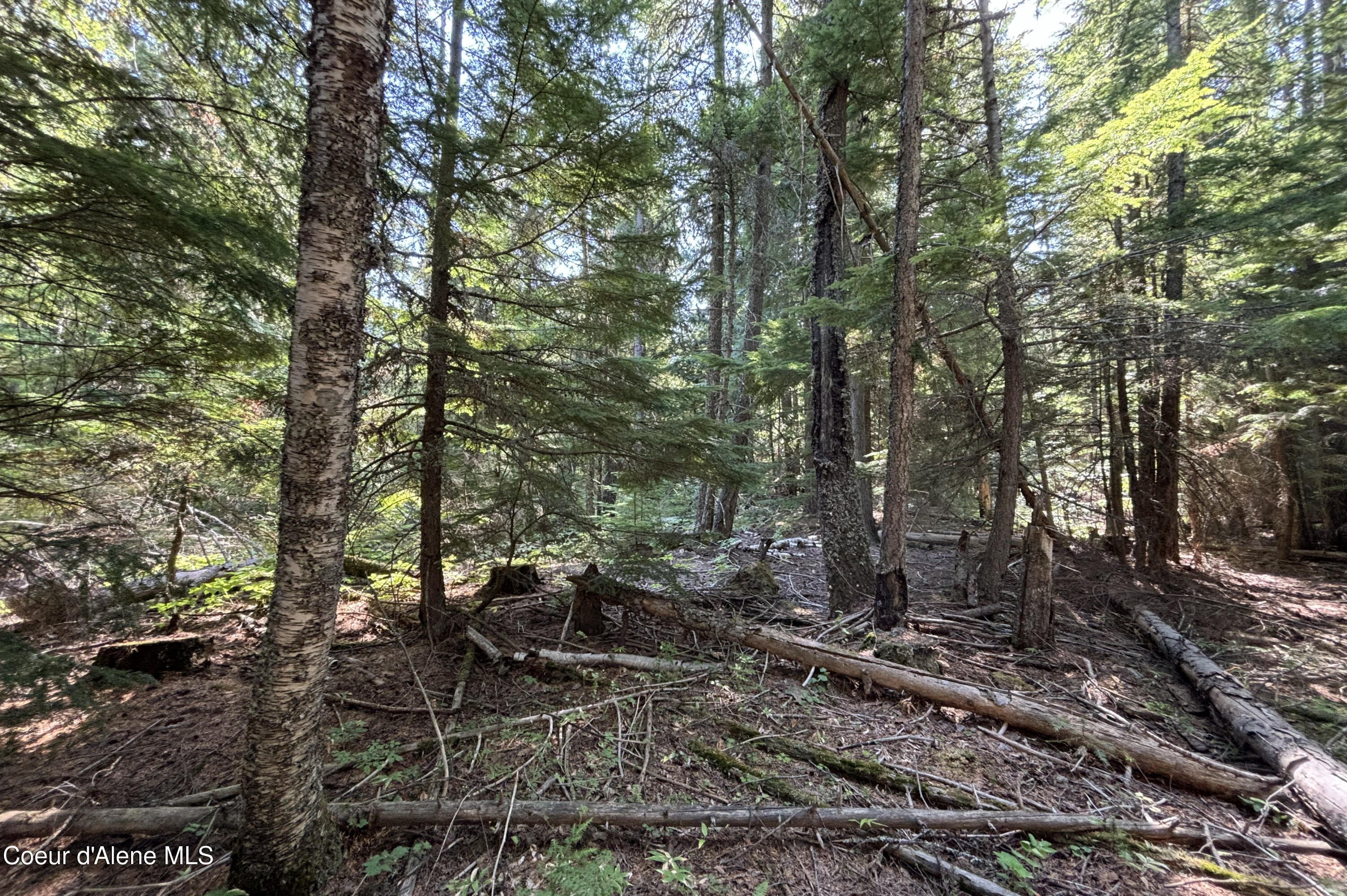 Lot 14 Ridge Way Sandpoint, ID 83864 - Photo 12 of 16 Property Looking West