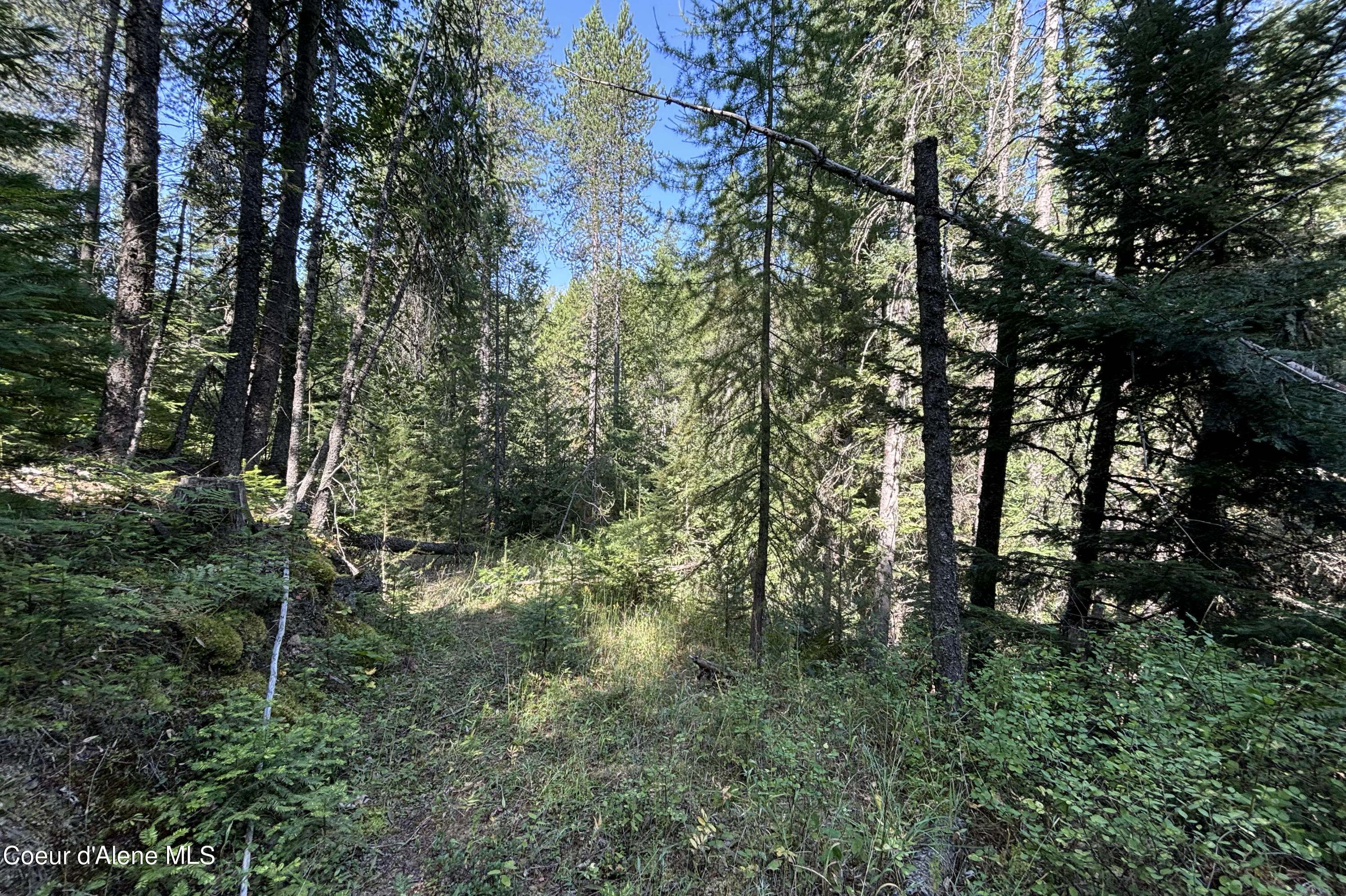 Lot 14 Ridge Way Sandpoint, ID 83864 - Photo 10 of 16 Ground Roughed in Road