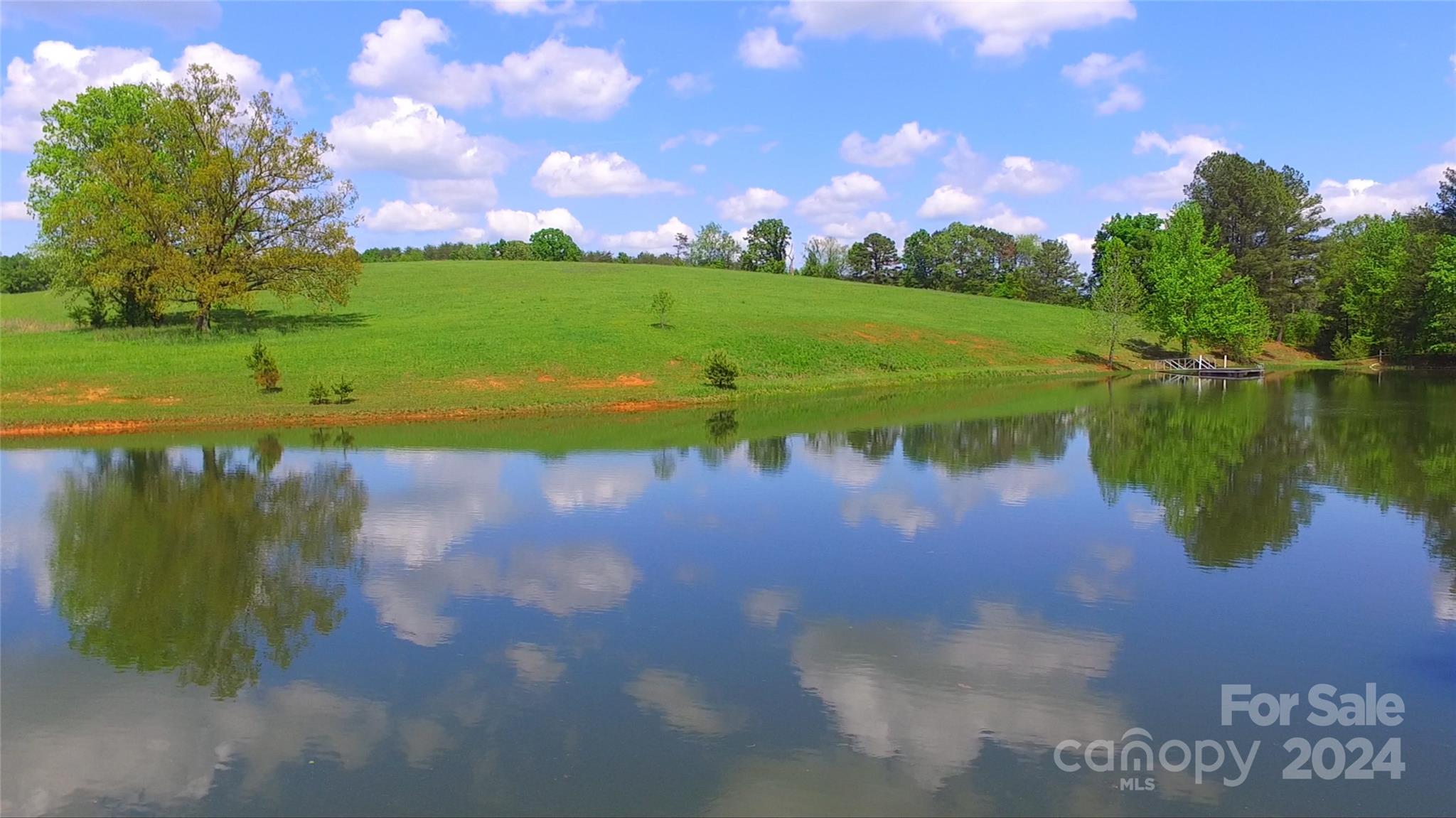 Lot 20 Ar Thompson Rd Mill Spring, Unit 20 Mill Spring, NC 28756 - Photo 9 of 17