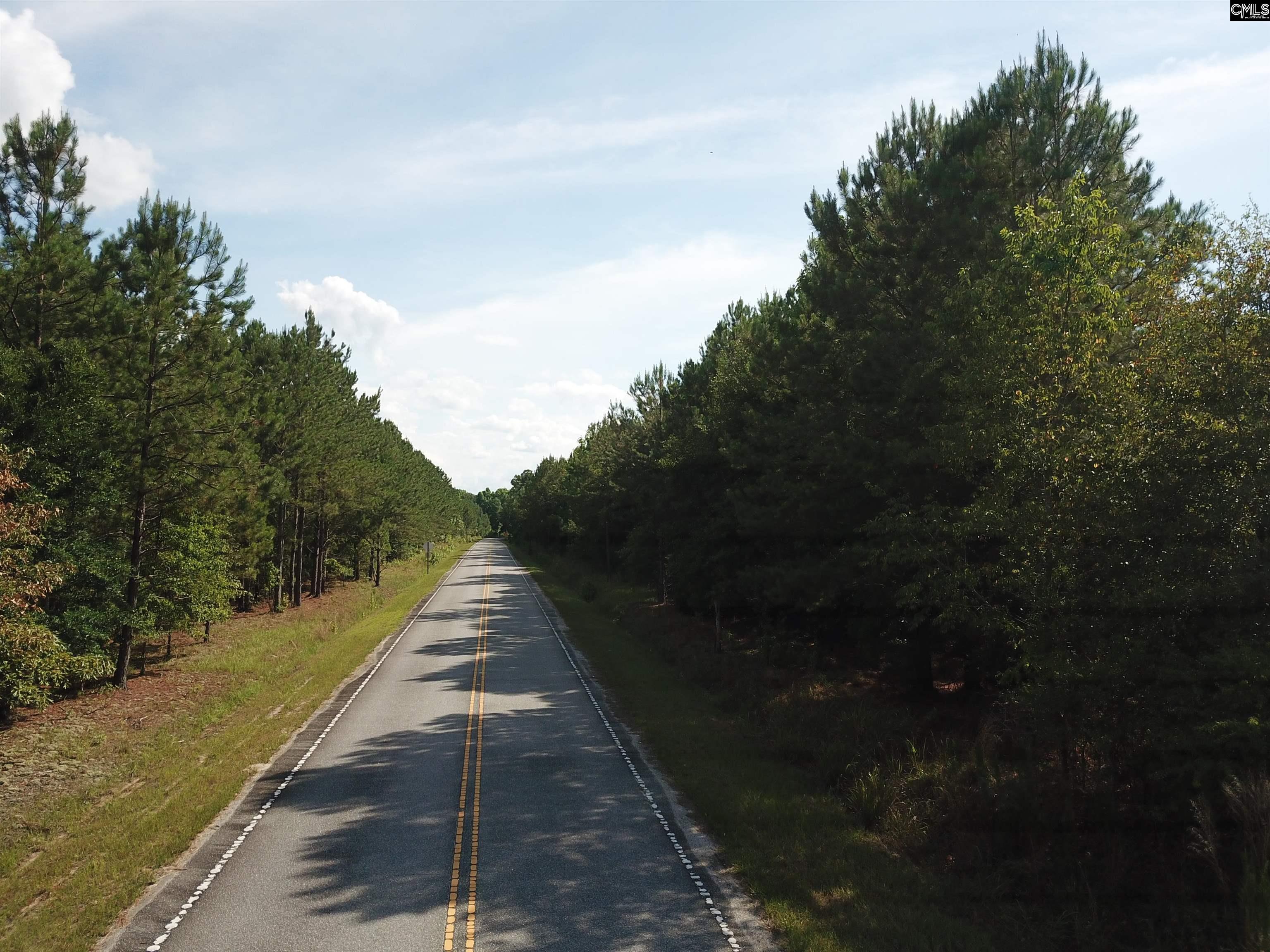 91 Shiver Road Rembert, SC 29128 - Photo 22 of 23
