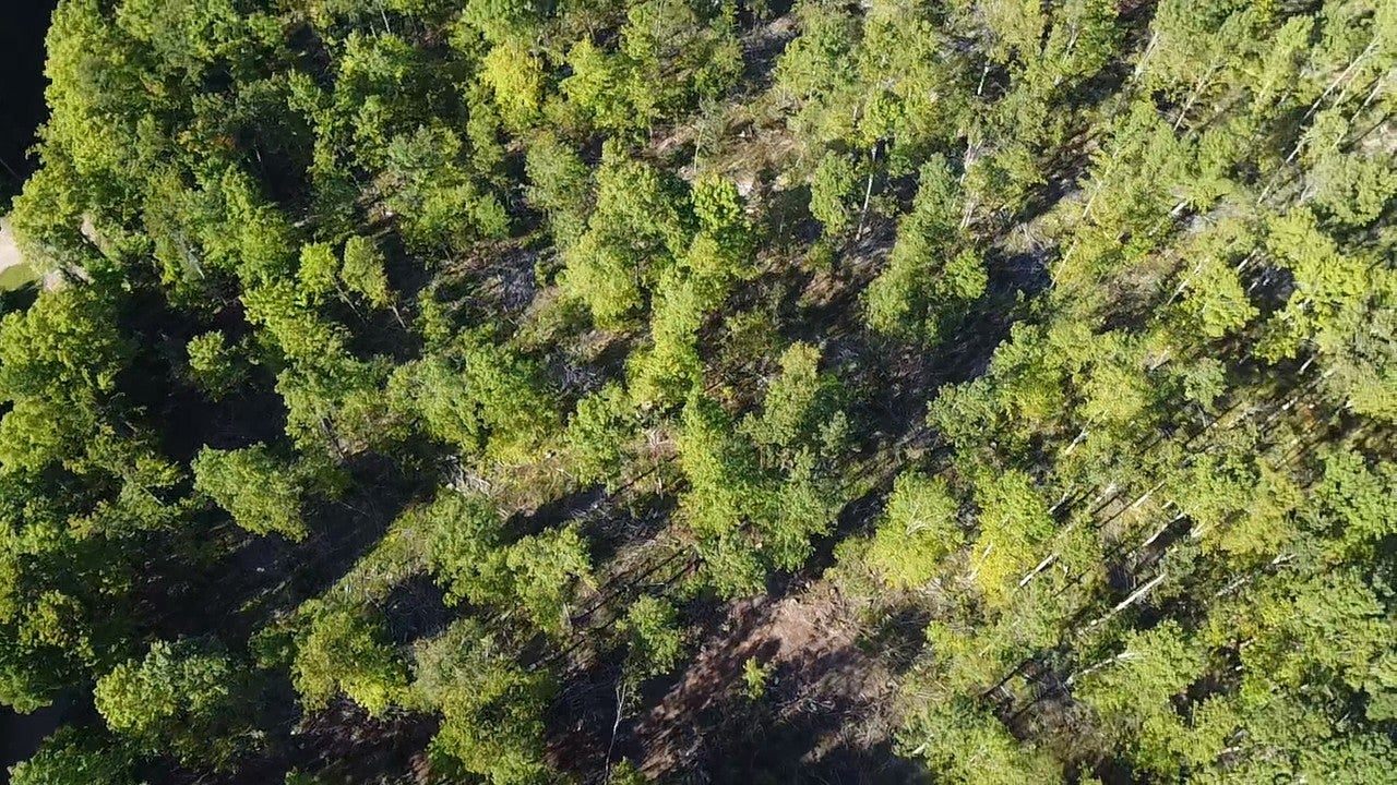 5.5-acre Tower Road Crandon, WI 54520 - Photo 11 of 16 Gallery Image 11