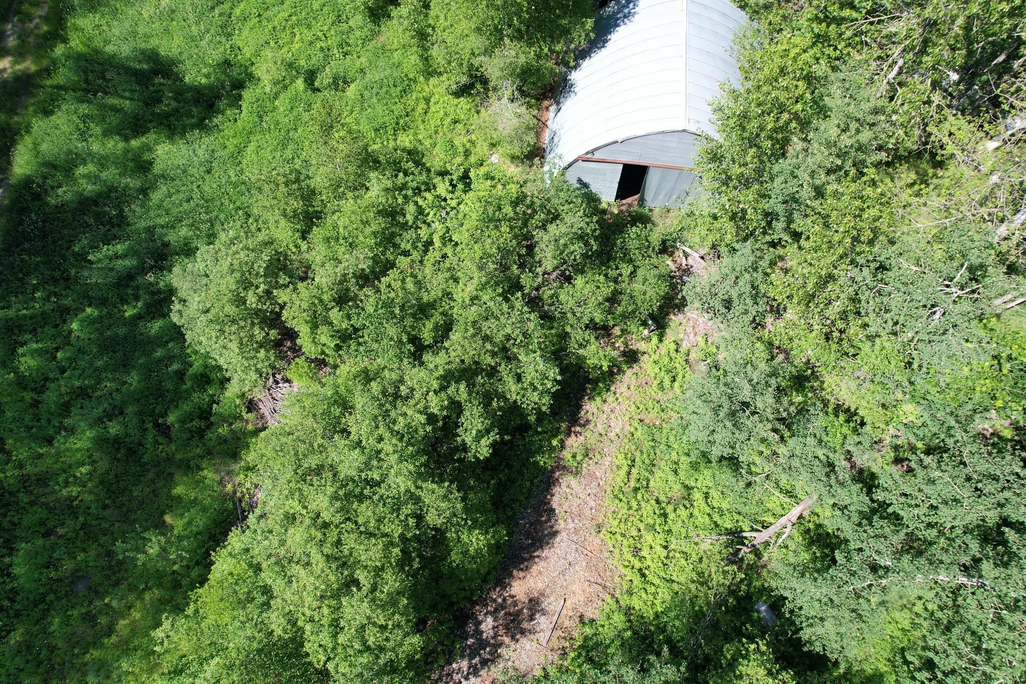 47530 Bourman Road Talmoon, MN 56637 - Photo 1 of 1