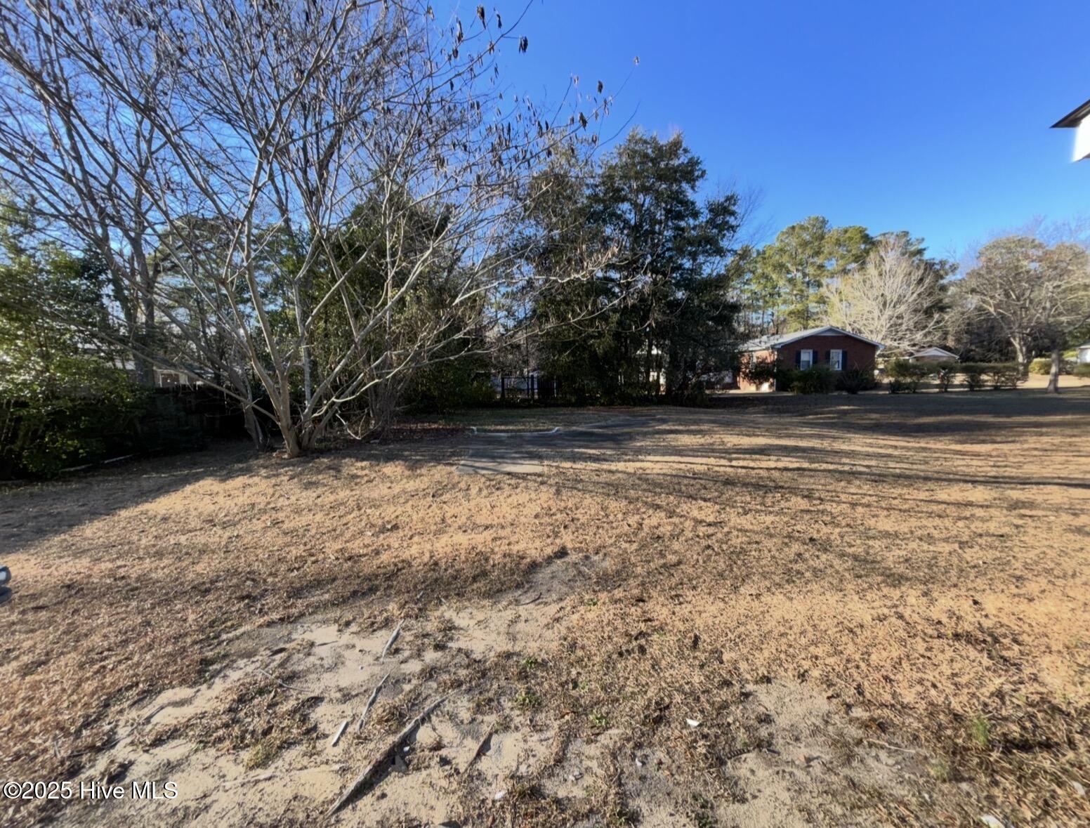 609 Poplar Street Rockingham, NC 28379 - Photo 16 of 16 back yard