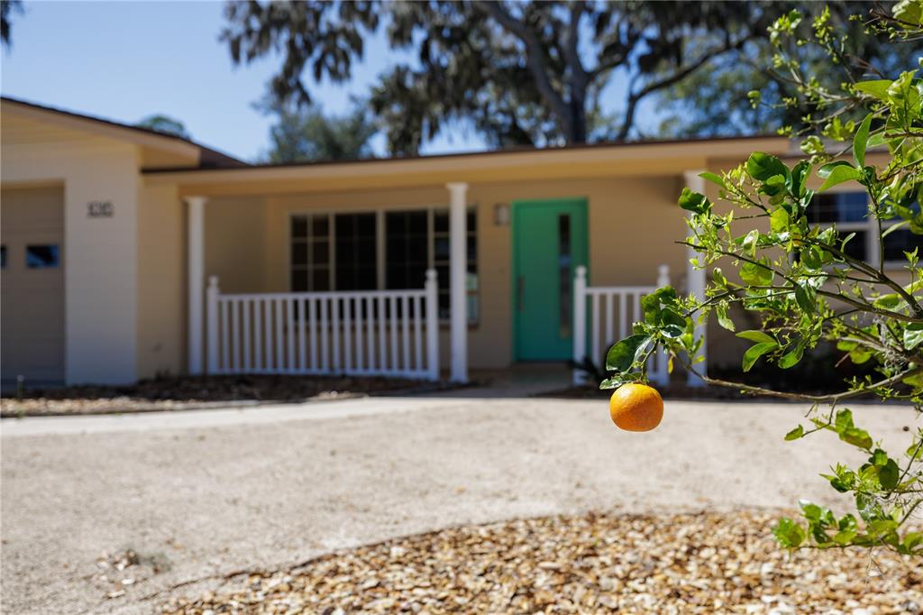 1016 Cherokee Ranch Road Holly Hill, FL 32117 - Photo 2 of 23 a view of a backyard with a garden