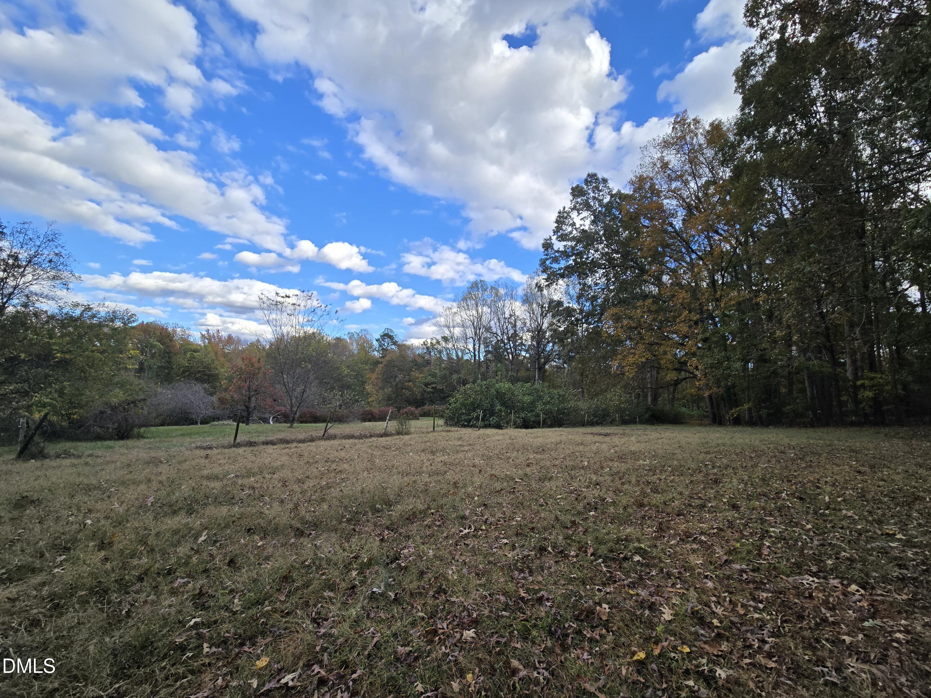 a view of a field with trees in background