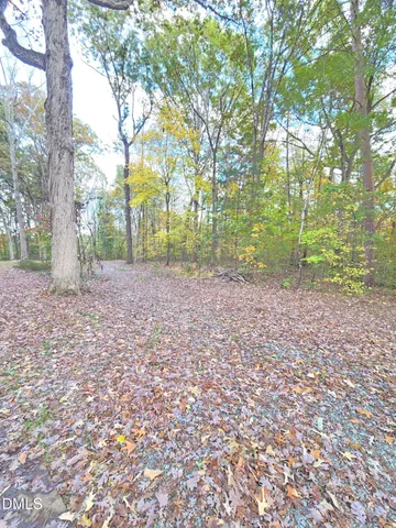 a view of a backyard with trees