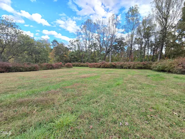 a view of a field with an trees