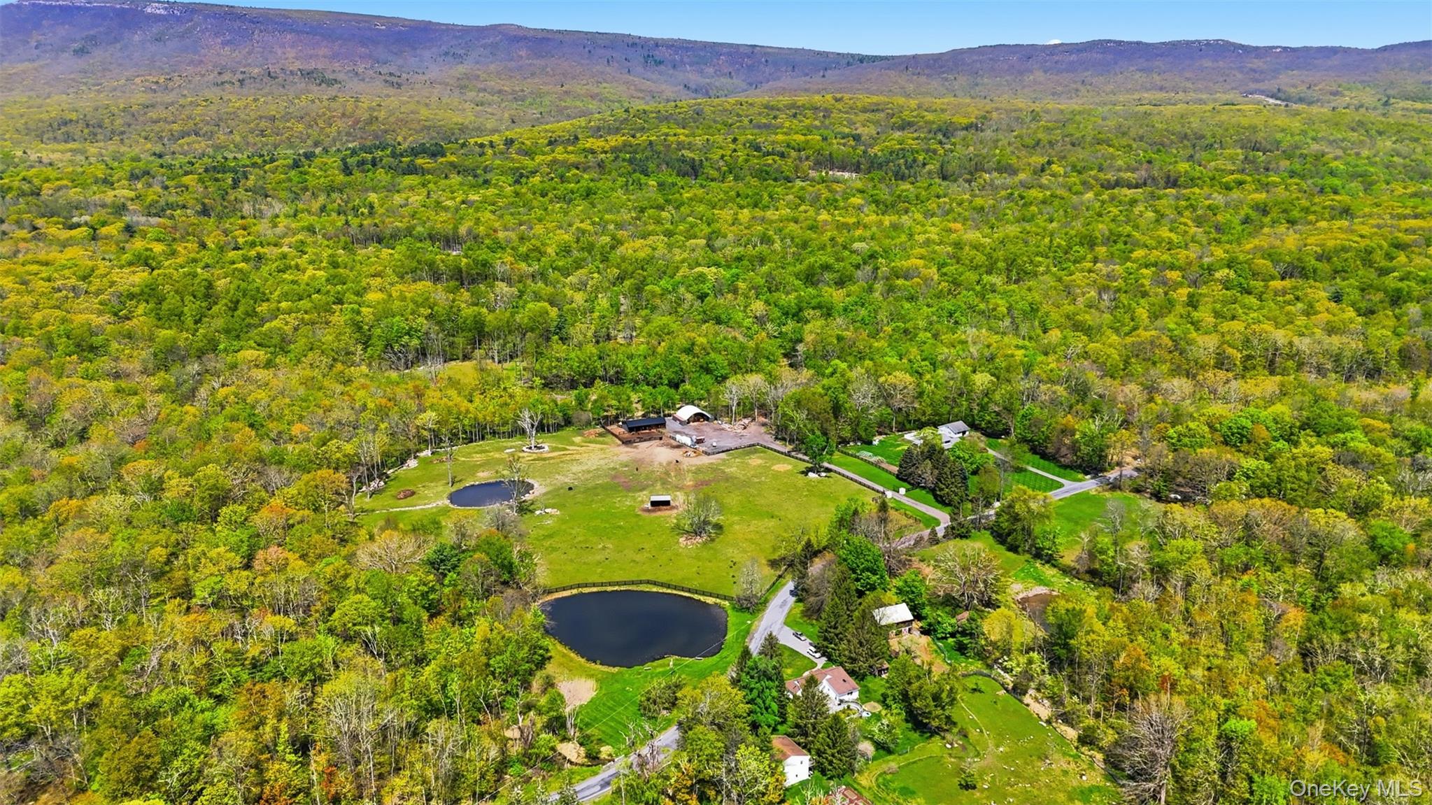 51 Redder Road Pine Bush, NY 12566 - Photo 2 of 29