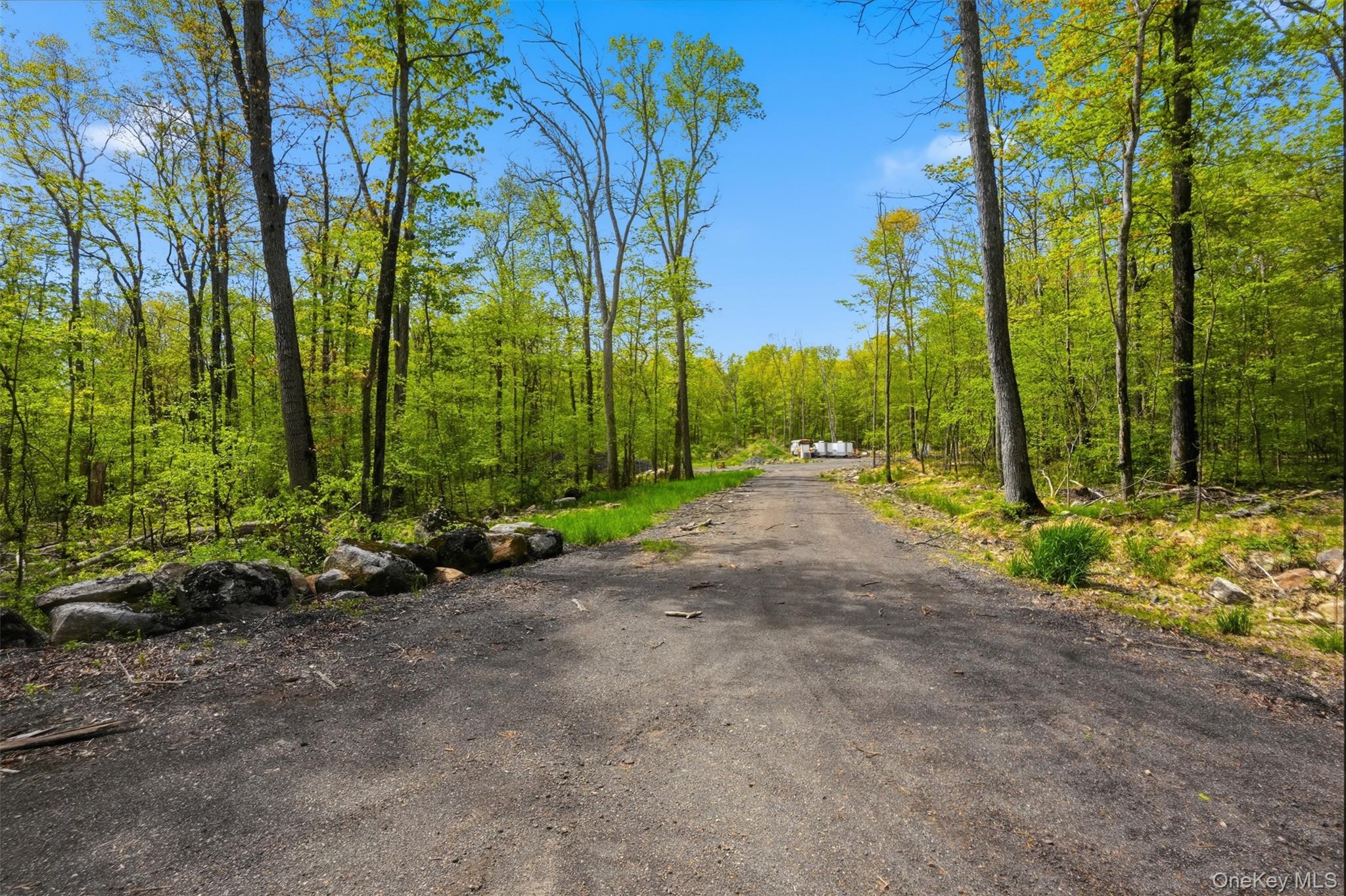 51 Redder Road Pine Bush, NY 12566 - Photo 10 of 29