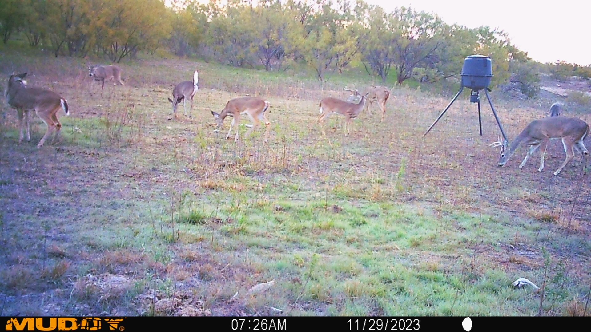 88291 Suaa Rd Well Lohn, TX 76852 - Photo 43 of 44 a backyard of a house with table and chairs