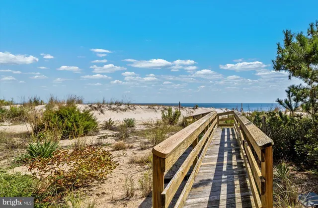 a living room with furniture potted plant and wooden floor