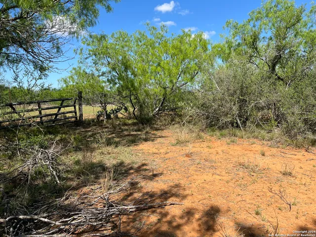 $140,000 | 0 Carroll Road, Dilley, TX 78017