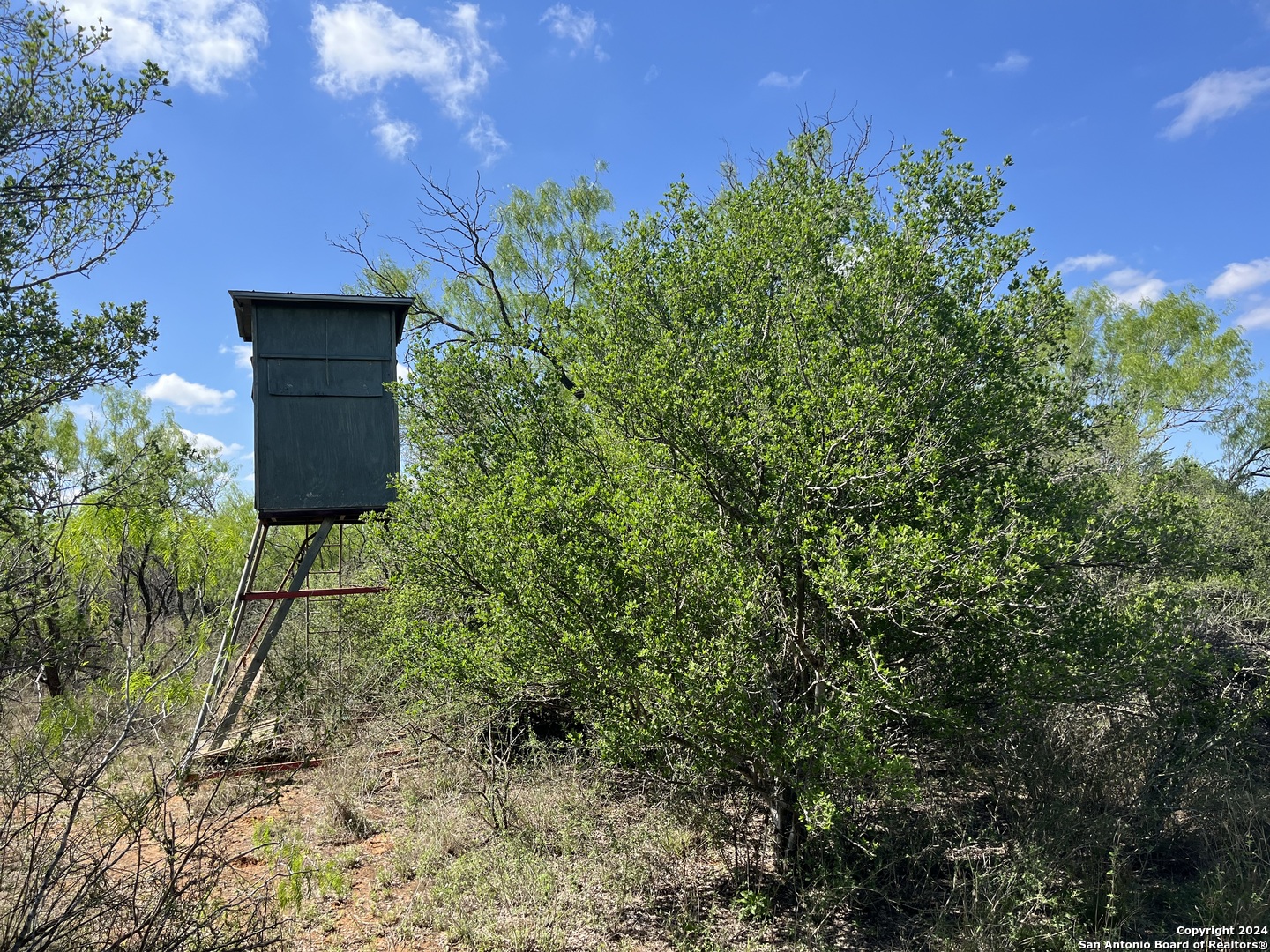 0 Carroll Road Dilley, TX 78017 - Photo 12 of 17