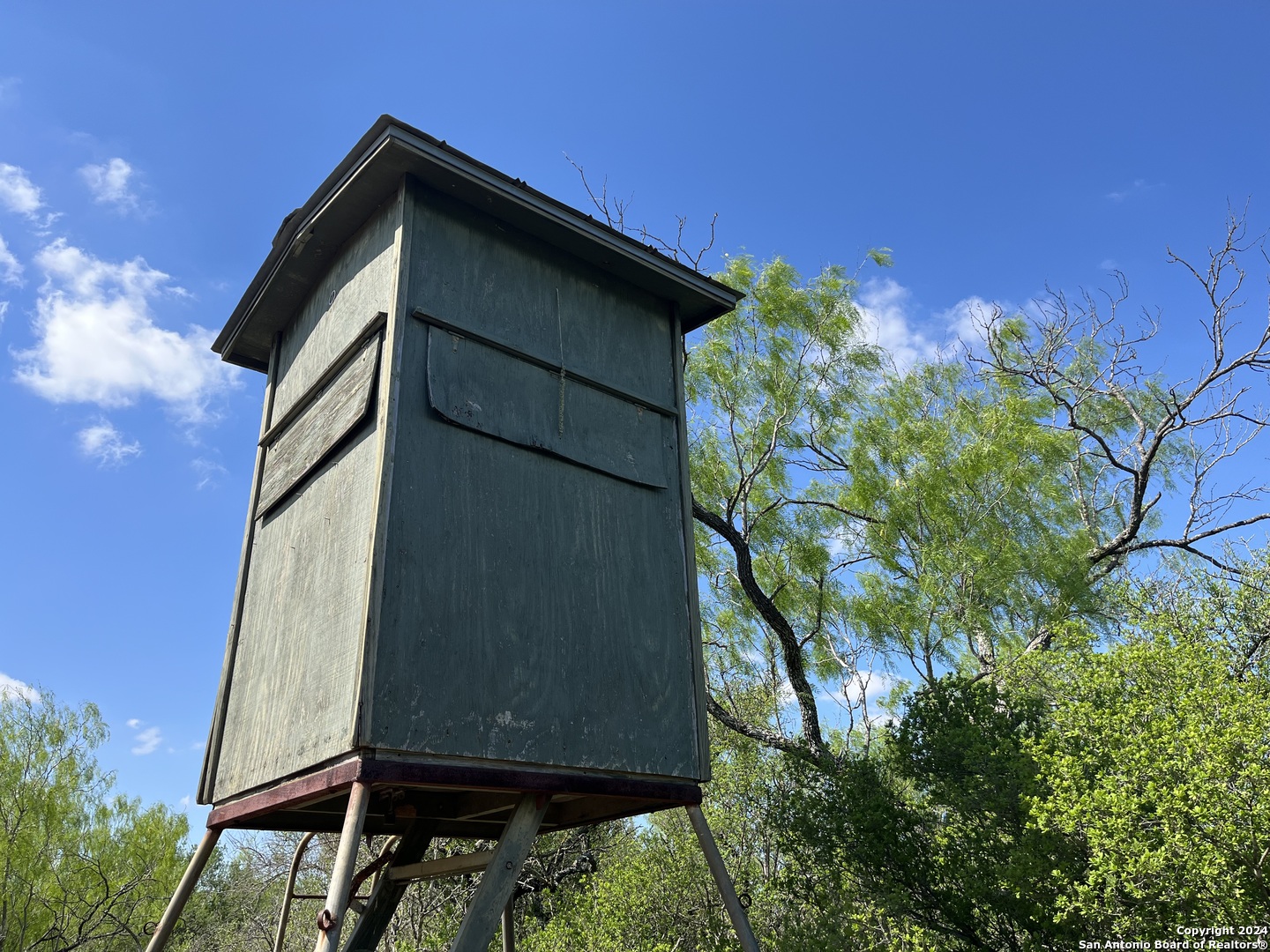 0 Carroll Road Dilley, TX 78017 - Photo 13 of 17