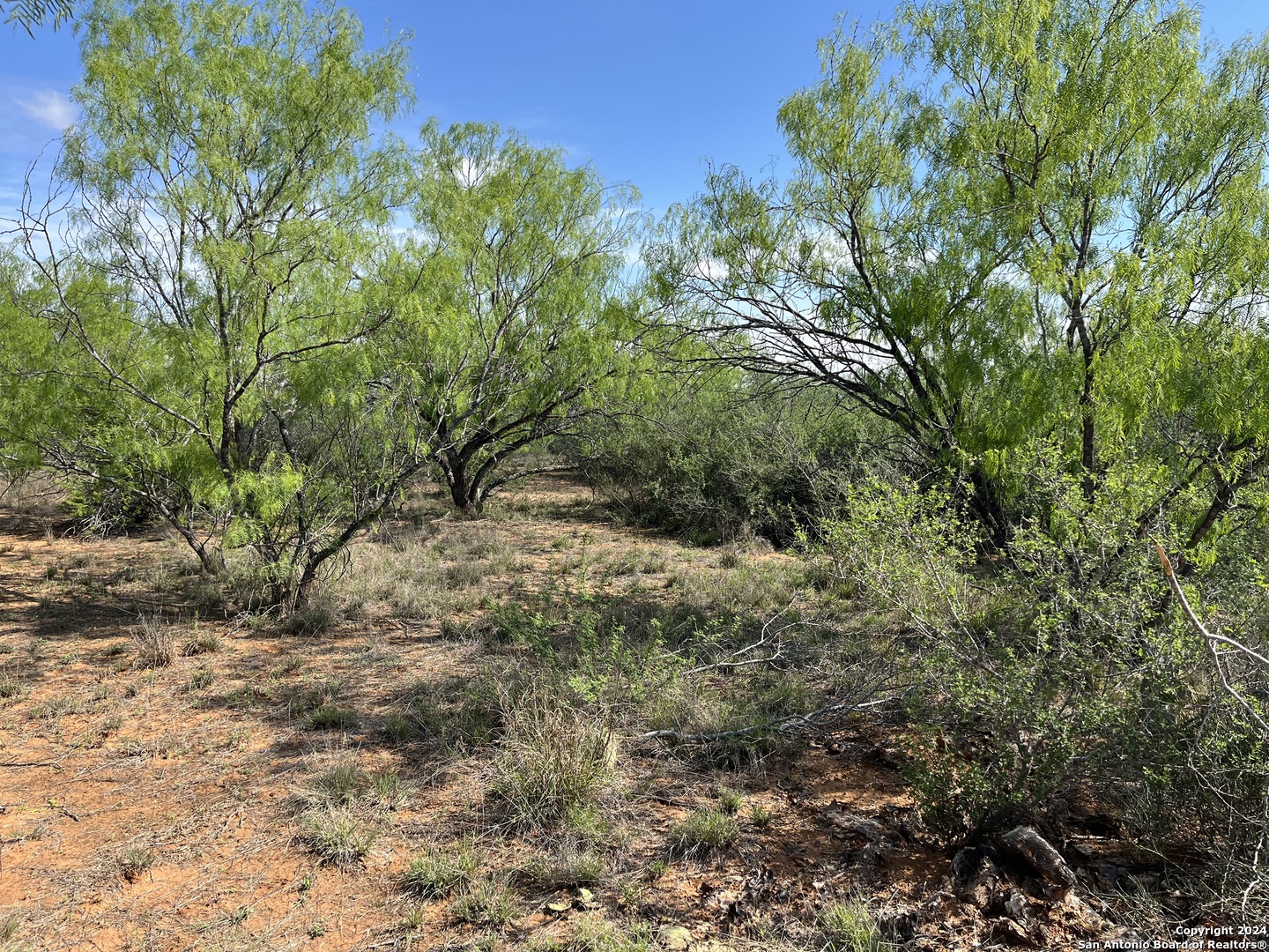 0 Carroll Road Dilley, TX 78017 - Photo 4 of 17