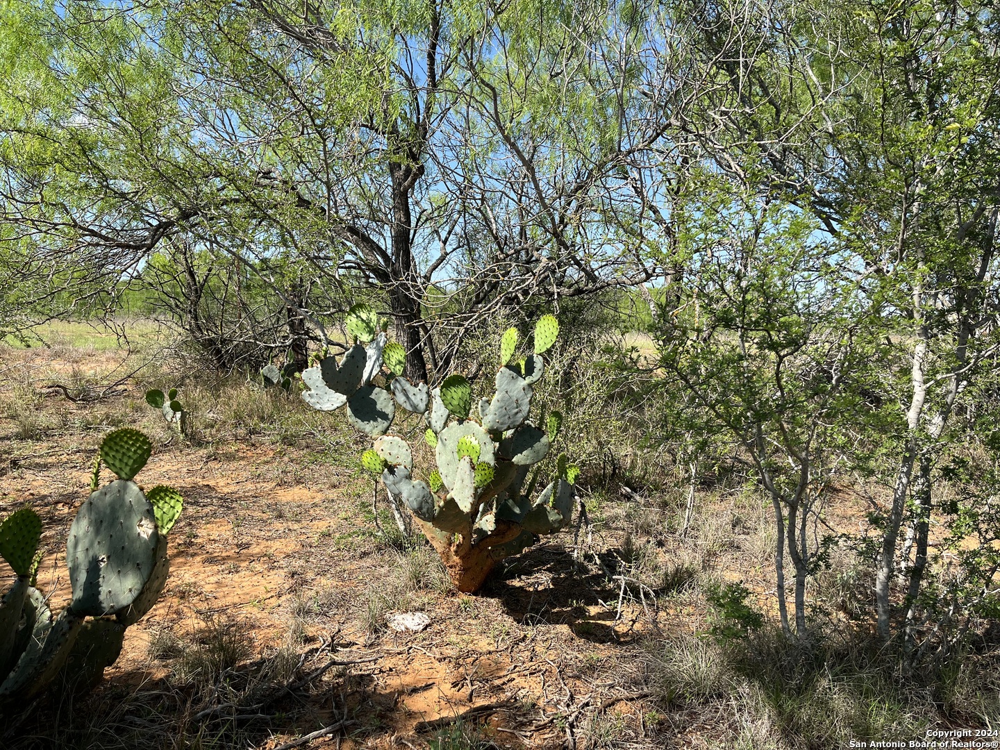 0 Carroll Road Dilley, TX 78017 - Photo 5 of 17