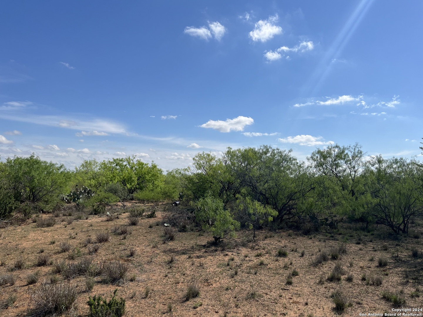 0 Carroll Road Dilley, TX 78017 - Photo 6 of 17