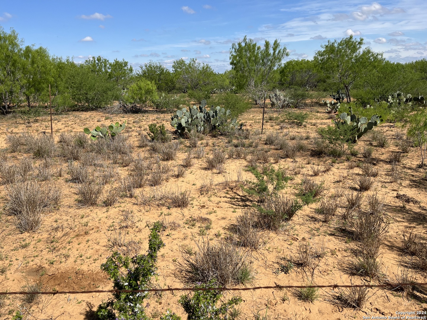 0 Carroll Road Dilley, TX 78017 - Photo 7 of 17