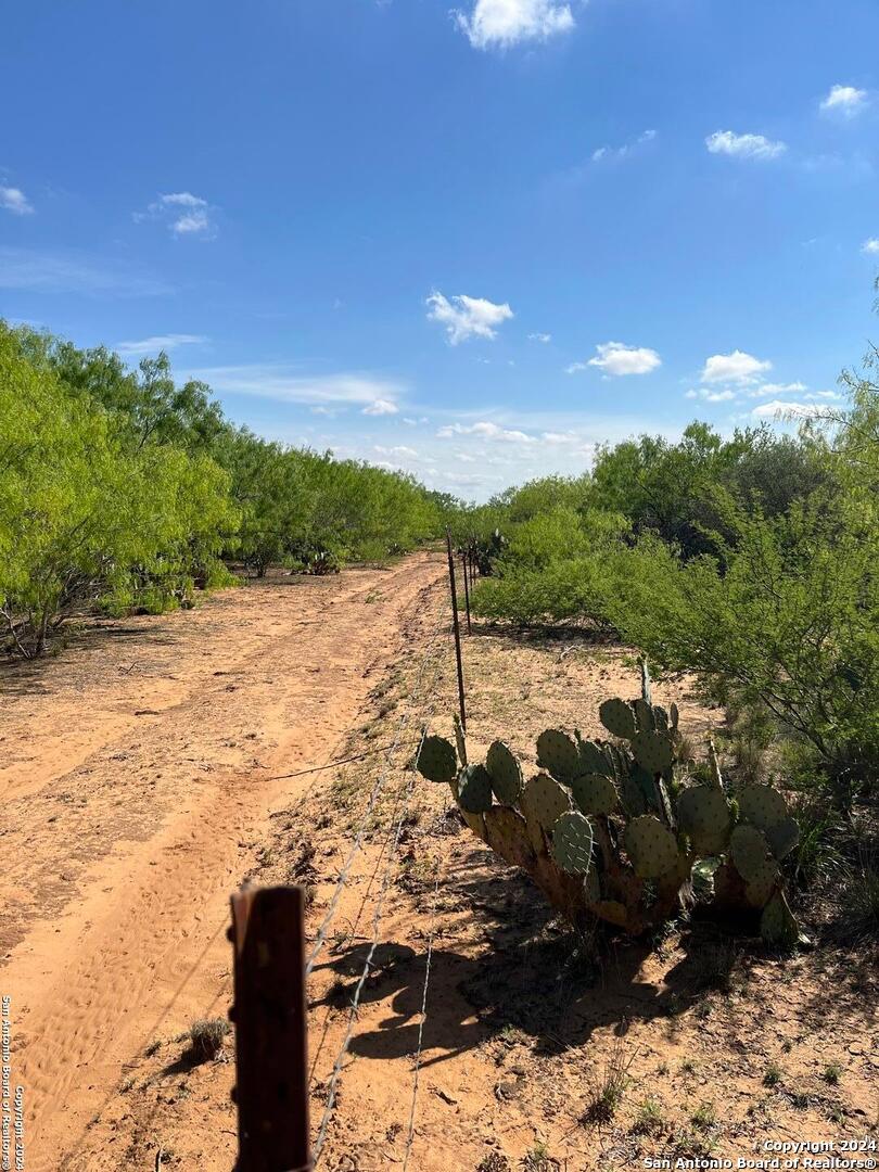0 Carroll Road Dilley, TX 78017 - Photo 8 of 17