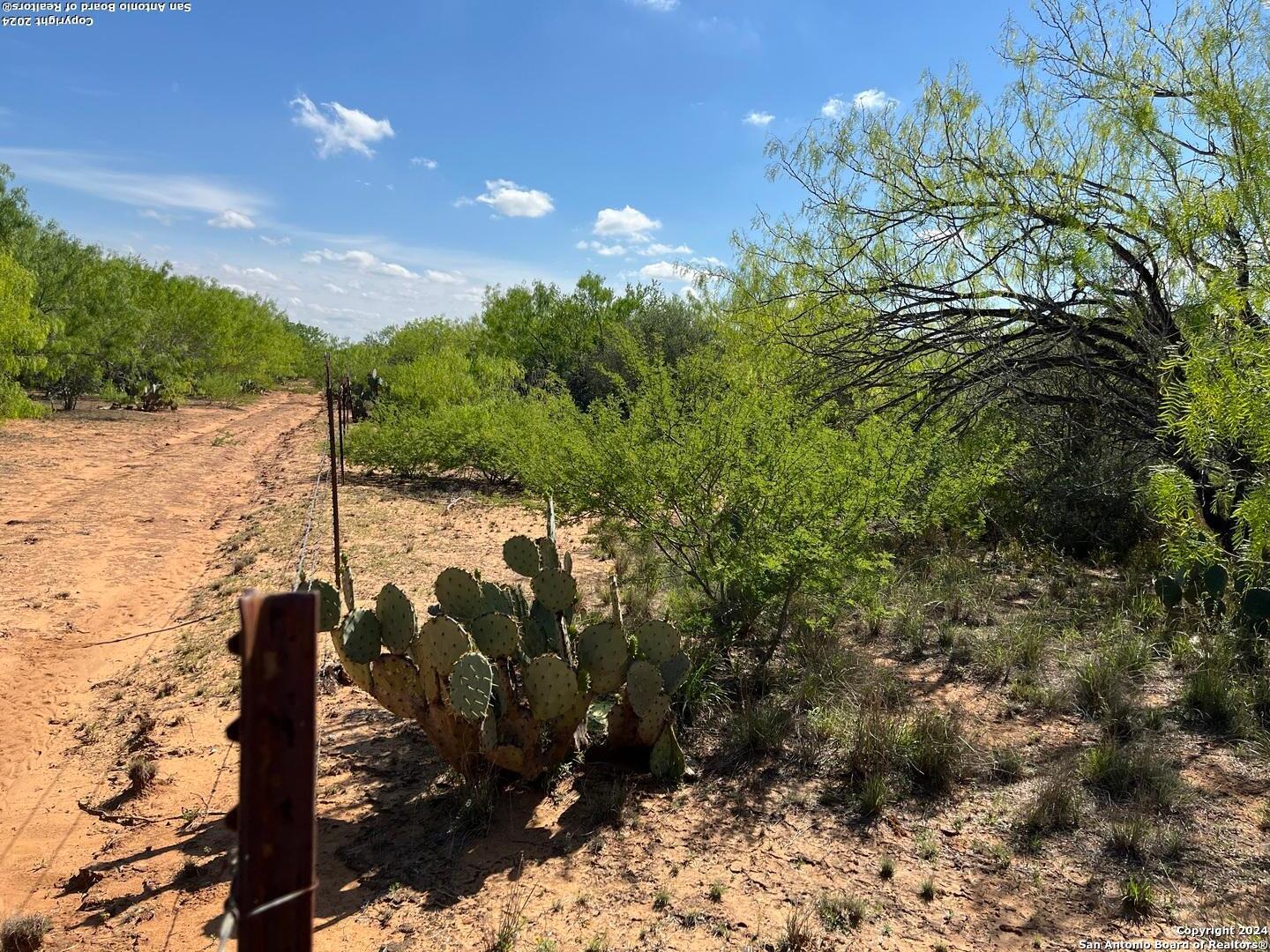0 Carroll Road Dilley, TX 78017 - Photo 9 of 17
