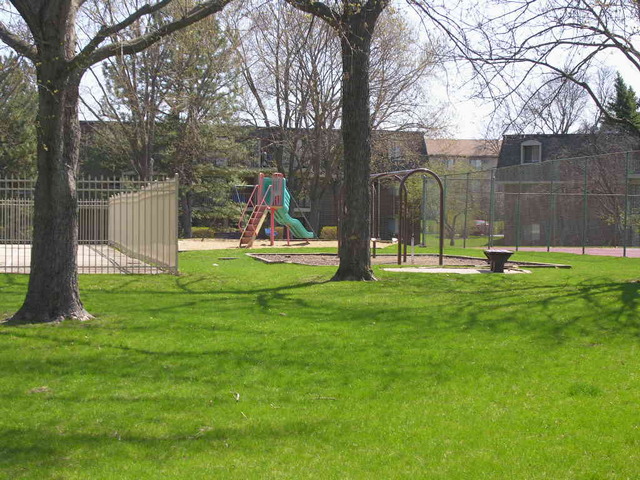 254 East Bailey Road, Unit L Naperville, IL 60565 - Photo 22 of 25 a view of park with swings