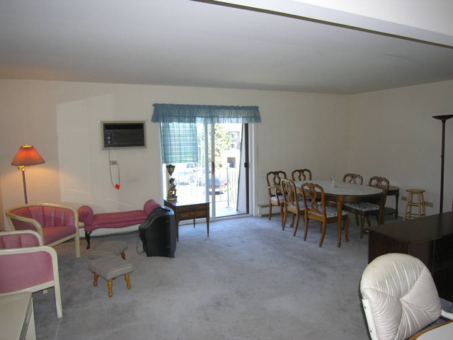 254 East Bailey Road, Unit L Naperville, IL 60565 - Photo 8 of 25 a living room with furniture and a window