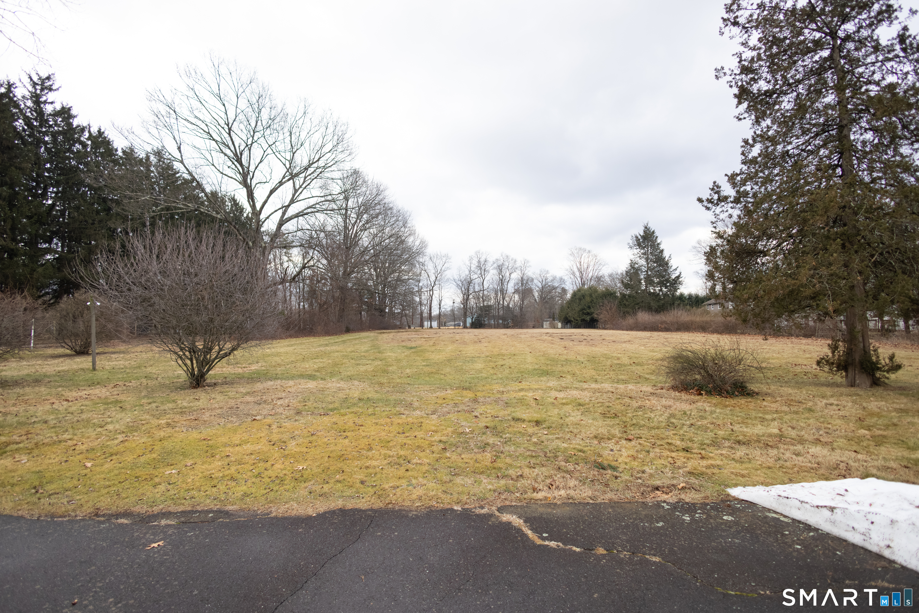 352 Carter Lane Southington, CT 06489 - Photo 8 of 40 a view of a yard with a house