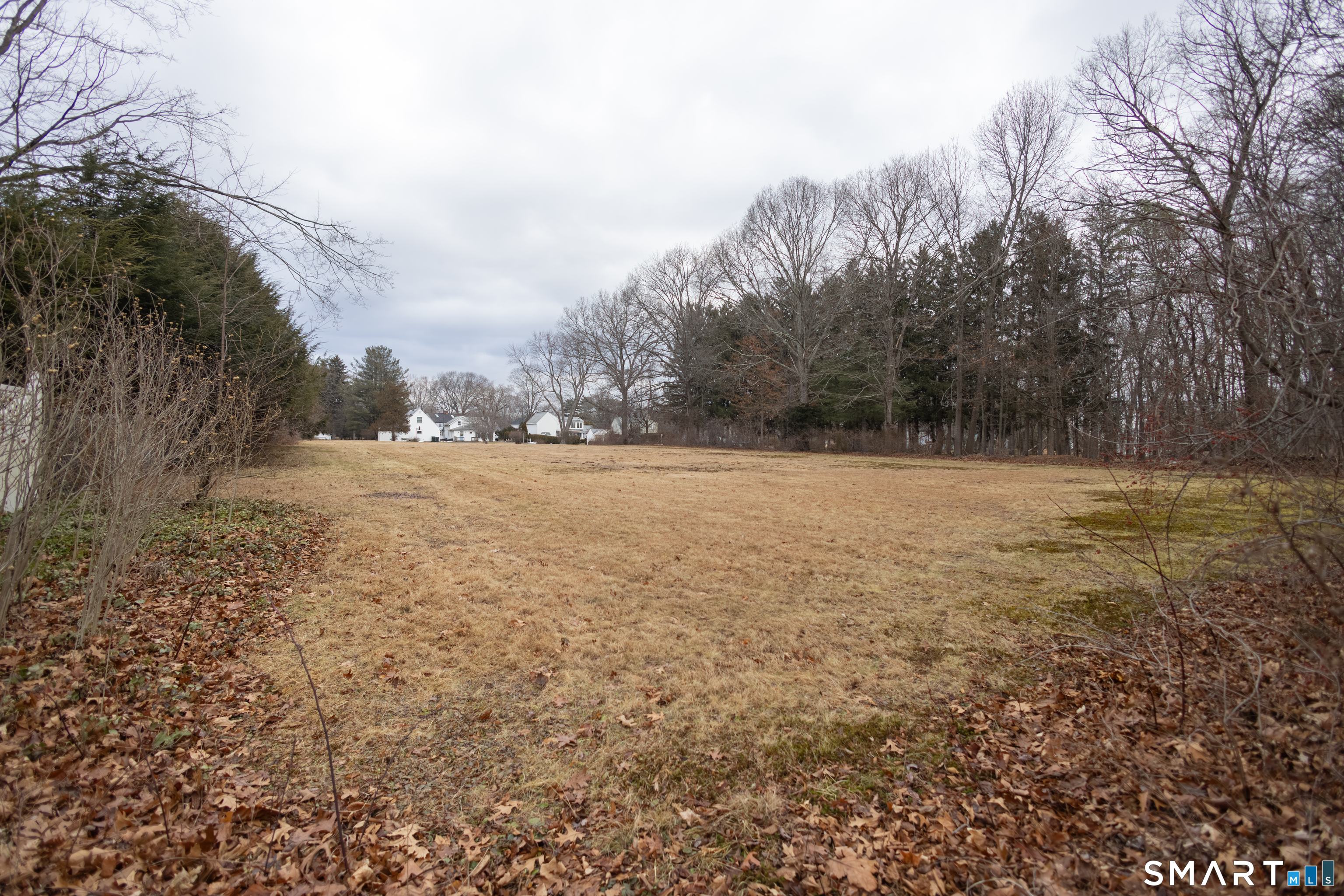 352 Carter Lane Southington, CT 06489 - Photo 9 of 40 a view of a yard with trees in the background