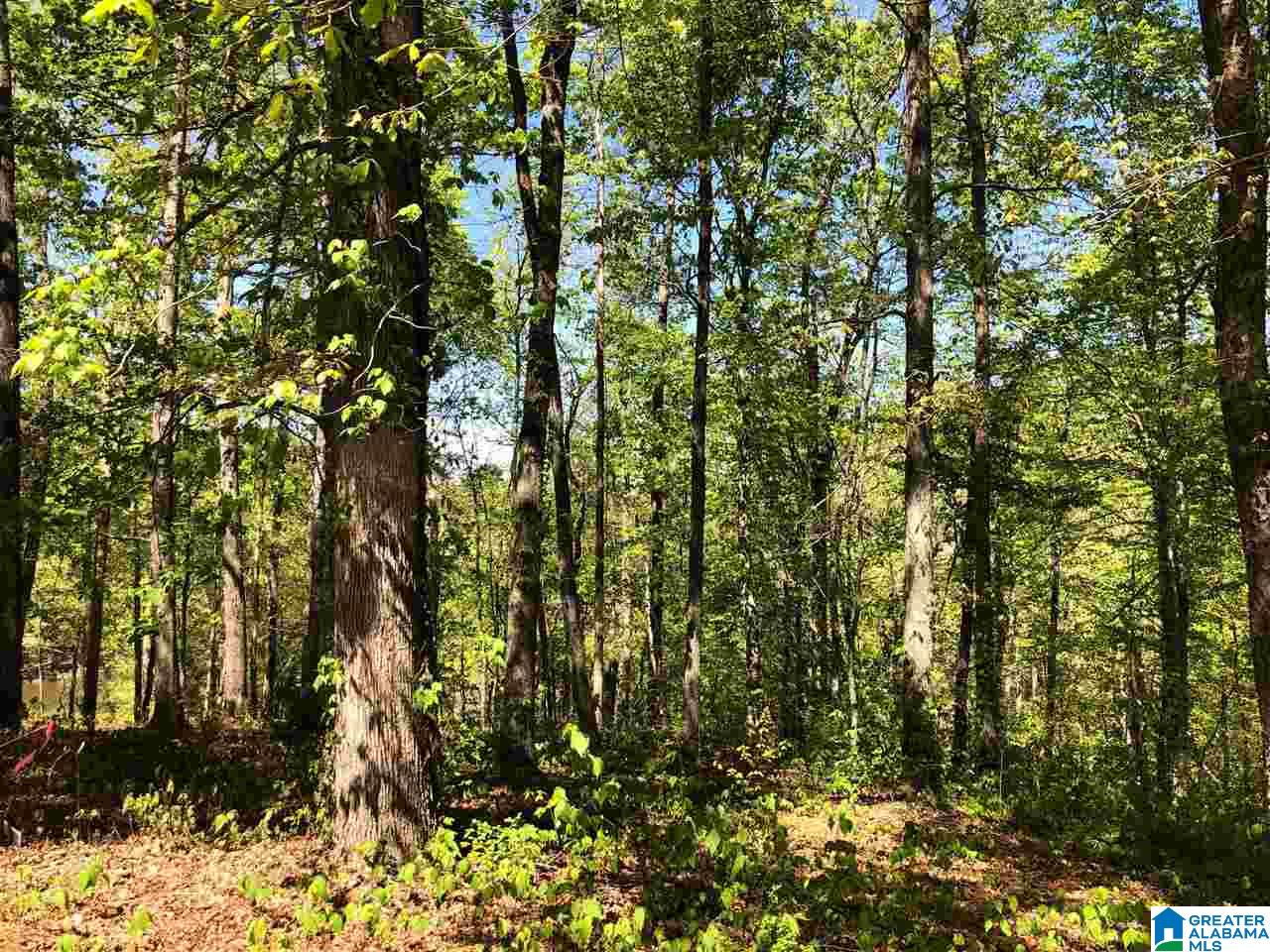Roberts Circle, Unit 47 Wedowee, AL 36278 - Photo 3 of 3
