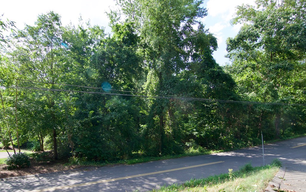 555 V Ridge Road Wilbraham, MA 01095 - Photo 3 of 7