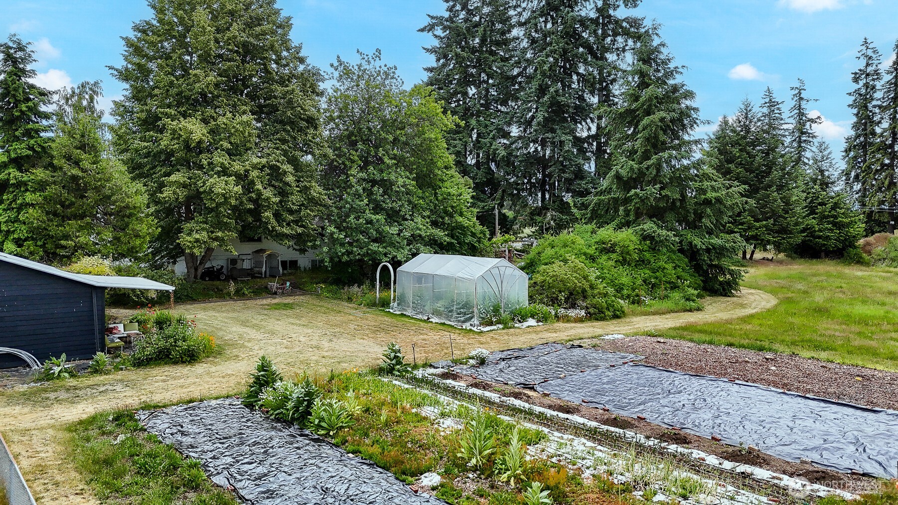 9139 Burnett Road Southeast Yelm, WA 98597 - Photo 3 of 40 a view of a backyard with plants and trees